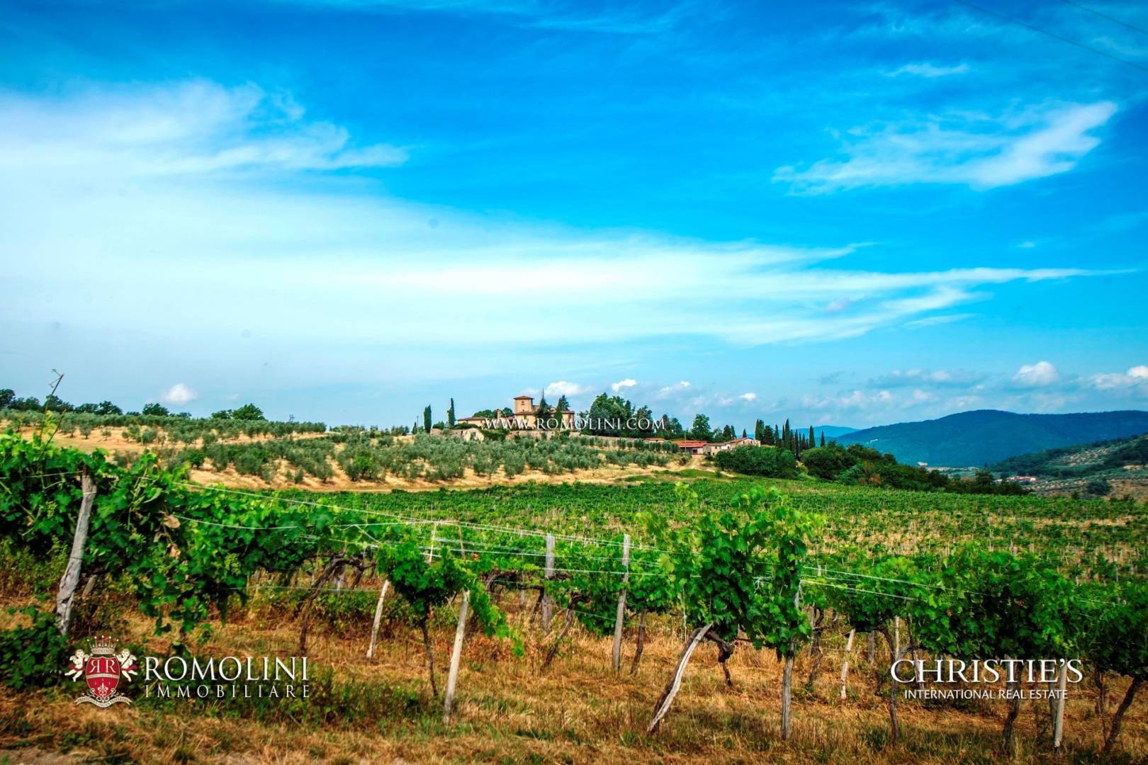 FLORENTINE HILLS - WEINBERGE & WEINKELLEREIEN UND LUXUSIMMOBILIEN ZUM VERKAUF IN FLORENZ, TOSKANA