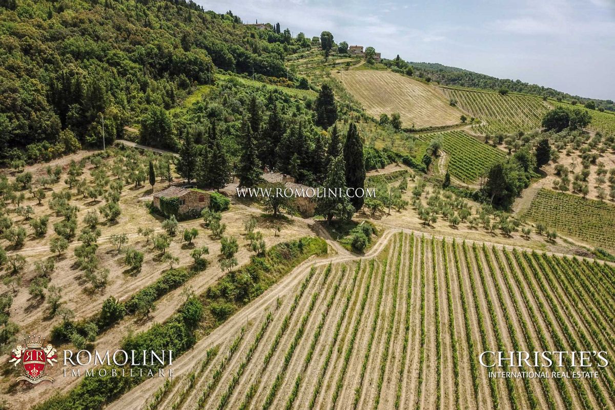 WEINGÜTER UND WEINBERGE ZU VERKAUFEN IM CHIANTI CLASSICO, TOSKANA