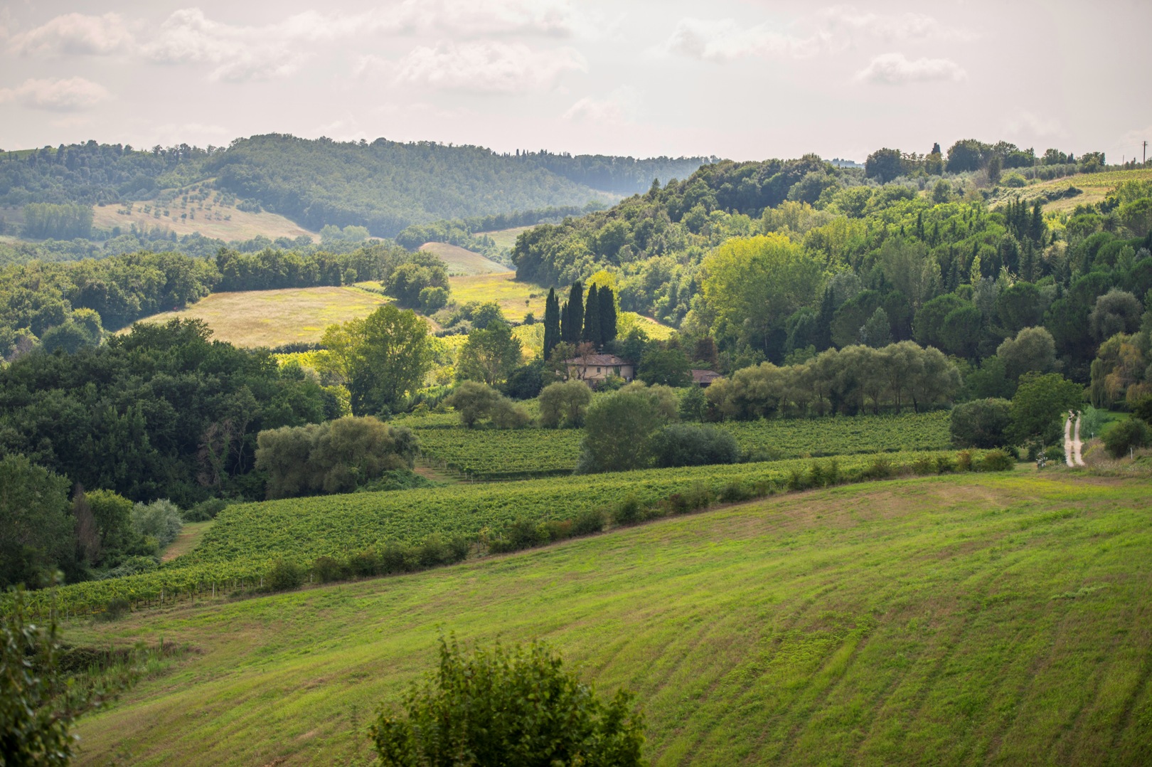 VAL D'ELSA - LANDHAUS UND WEINBERGE ZU VERKAUFEN