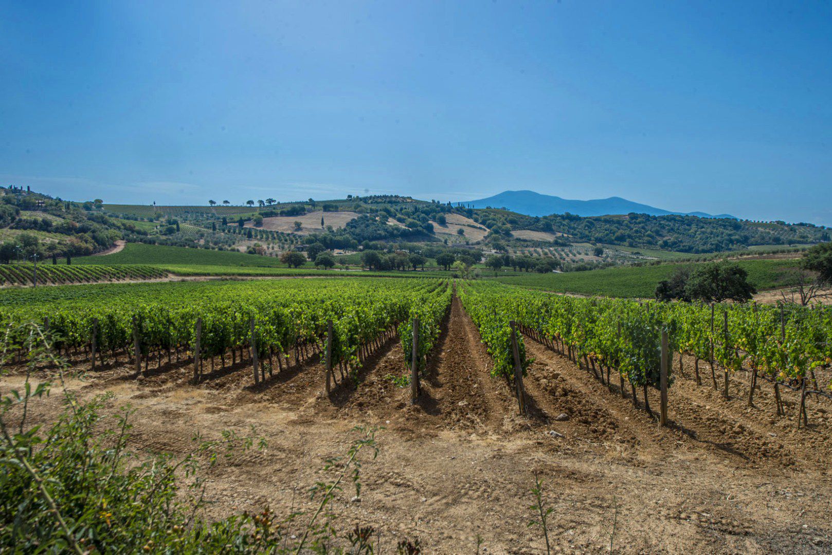 VAL D'ORCIA, TOSKANA: LUXUSVILLA KAUFEN, WEINGUT ZU VERKAUFEN