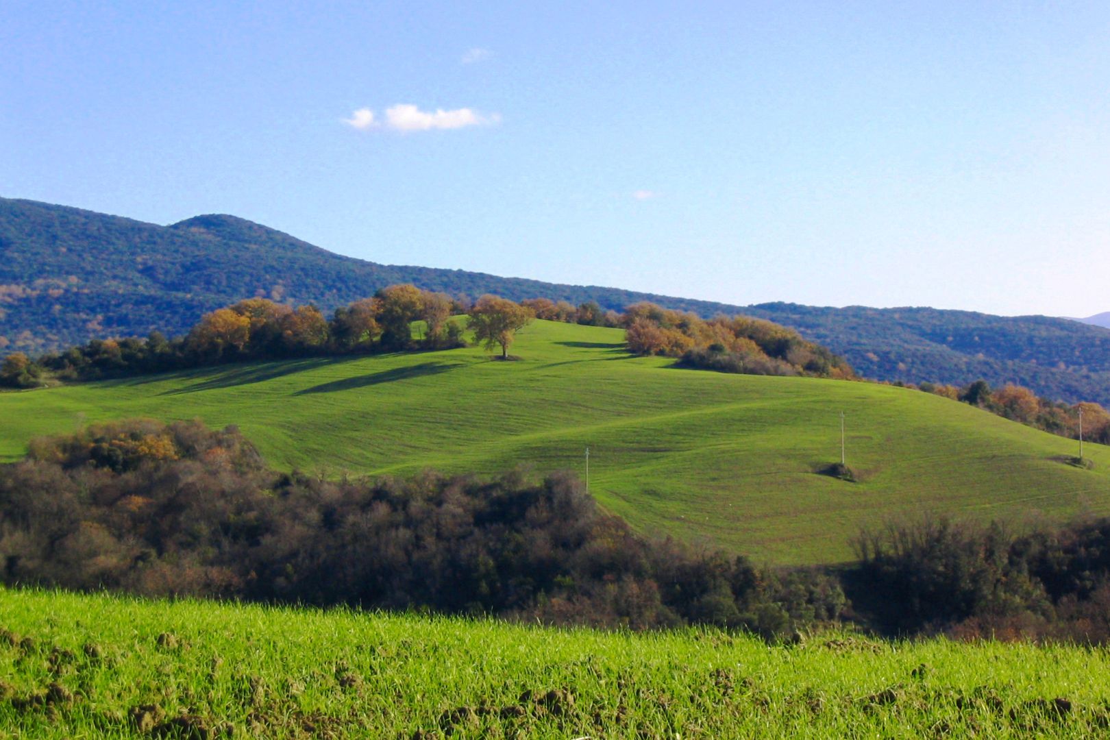 COLLINE METALLIFERE - LUXUSIMMOBILIEN ZU VERKAUFEN IN DEN PROVINZEN LIVORNO, GROSSETO, SIENA UND PISA 