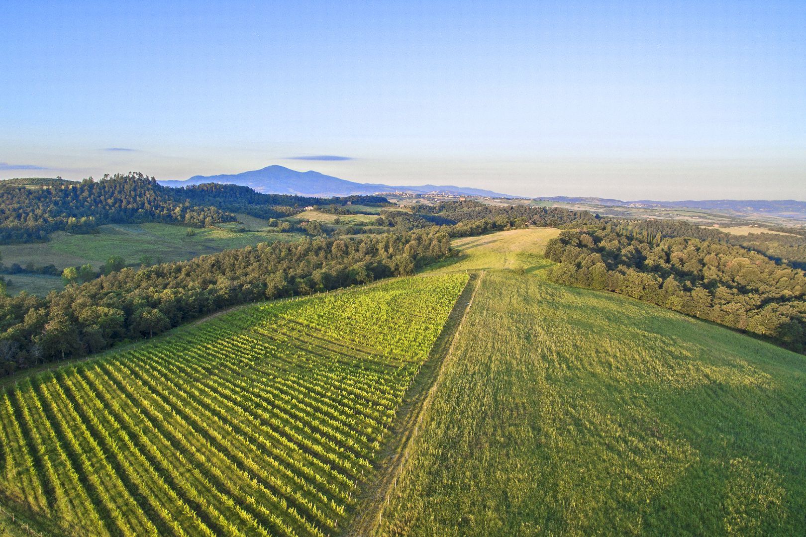 VAL D'ORCIA, TOSKANA: LUXUSVILLA KAUFEN, WEINGUT ZU VERKAUFEN