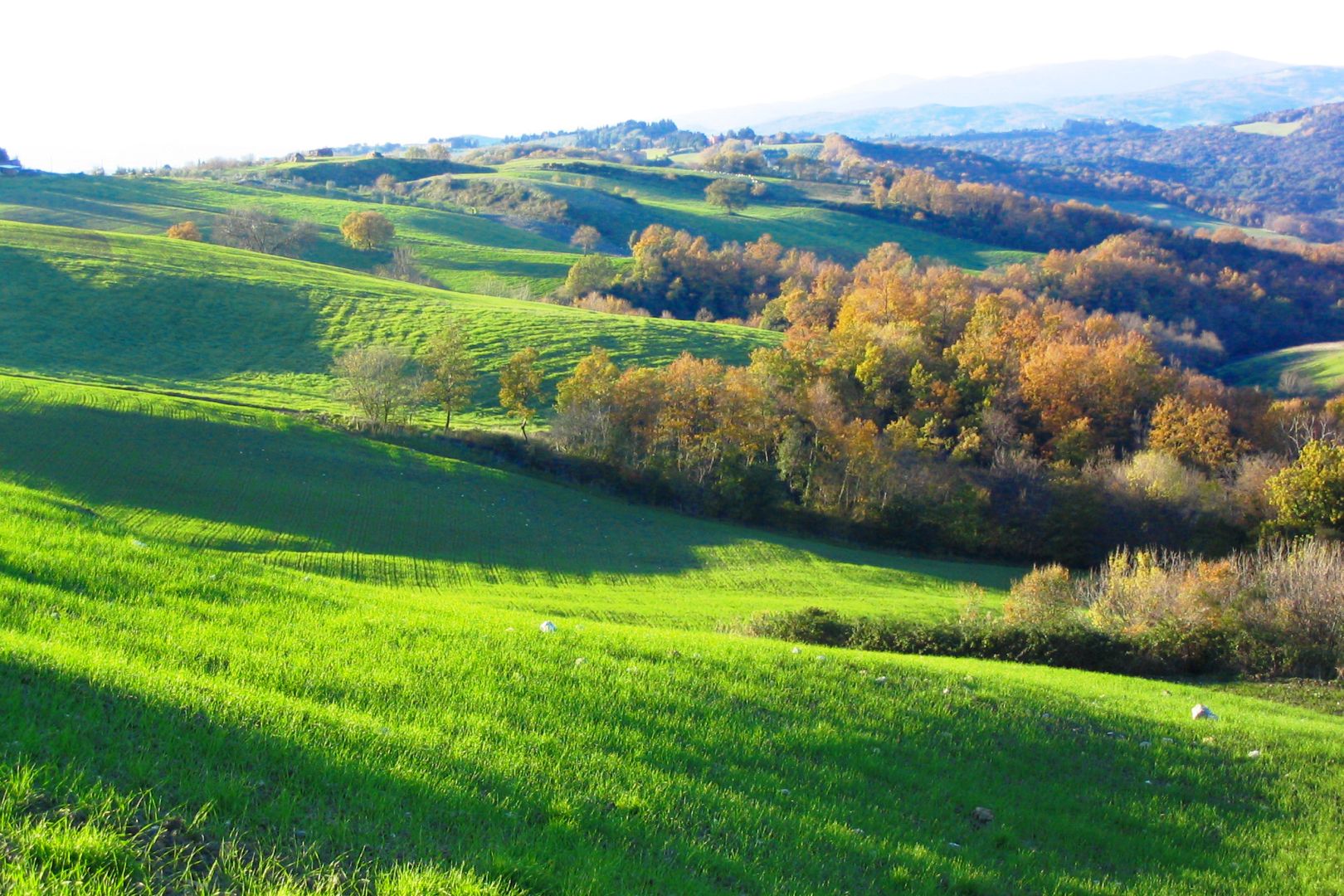 COLLINE METALLIFERE - LUXUSIMMOBILIEN ZU VERKAUFEN IN DEN PROVINZEN LIVORNO, GROSSETO, SIENA UND PISA 