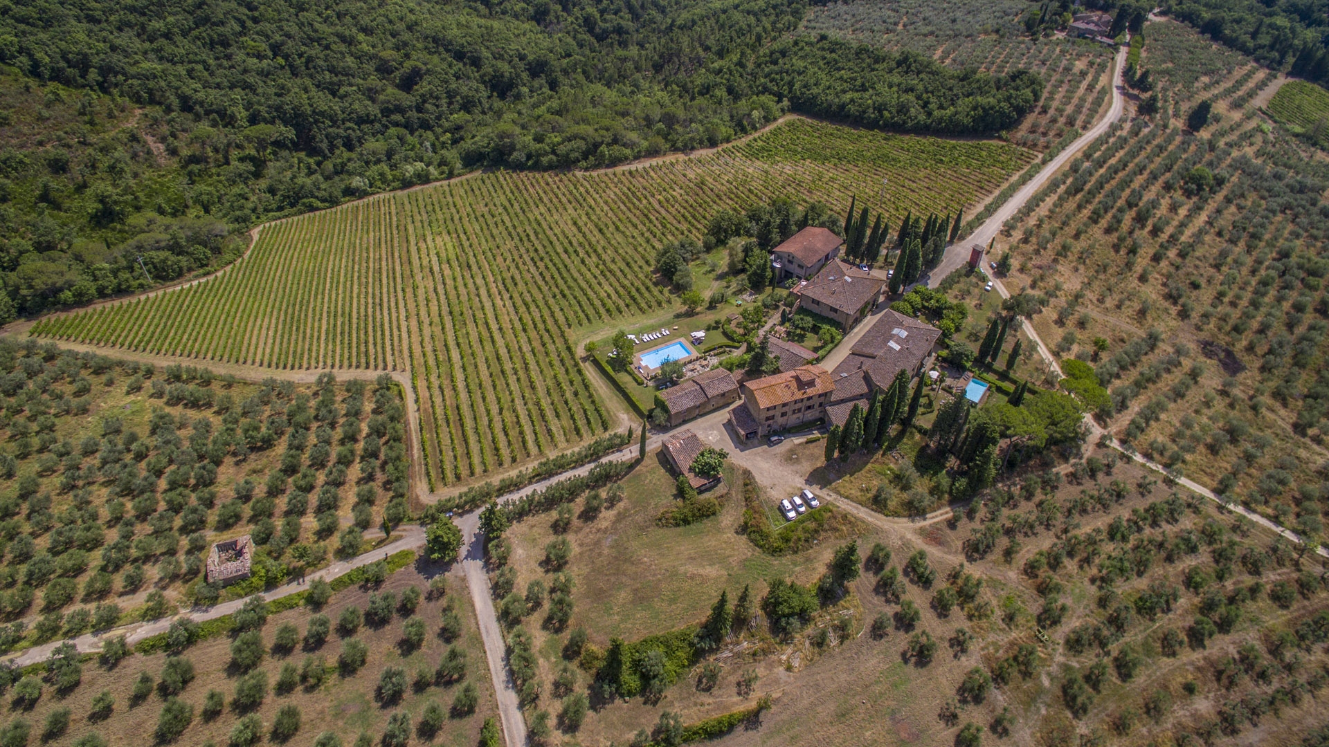 WEINGÜTER UND WEINBERGE ZU VERKAUFEN IM CHIANTI CLASSICO, TOSKANA