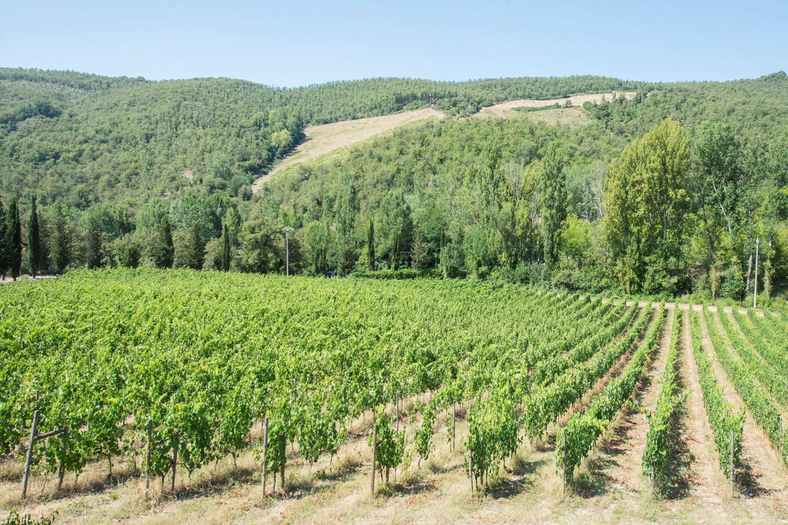 CHIANTI-HÜGEL IN DER TOSKANA, LUXURIÖSE IMMOBILIEN ZU VERKAUFEN