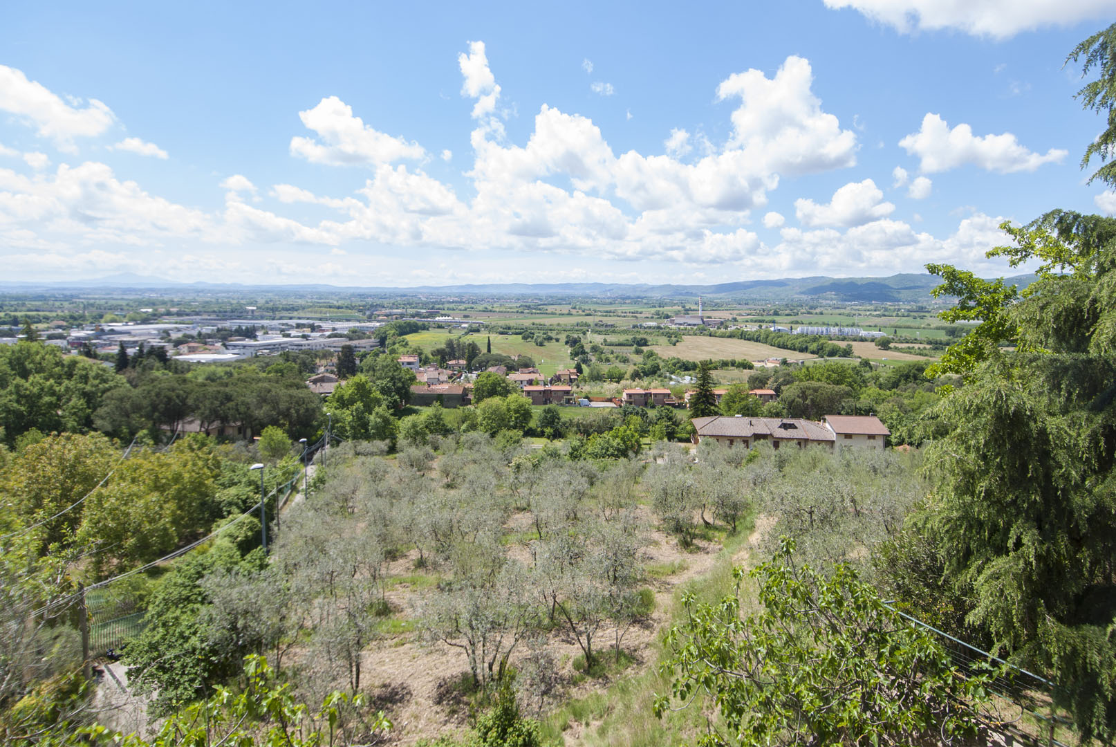 VALDICHIANA, CHIANATAL - VILLEN UND LANDHÄUSER ZU VERKAUFEN 
