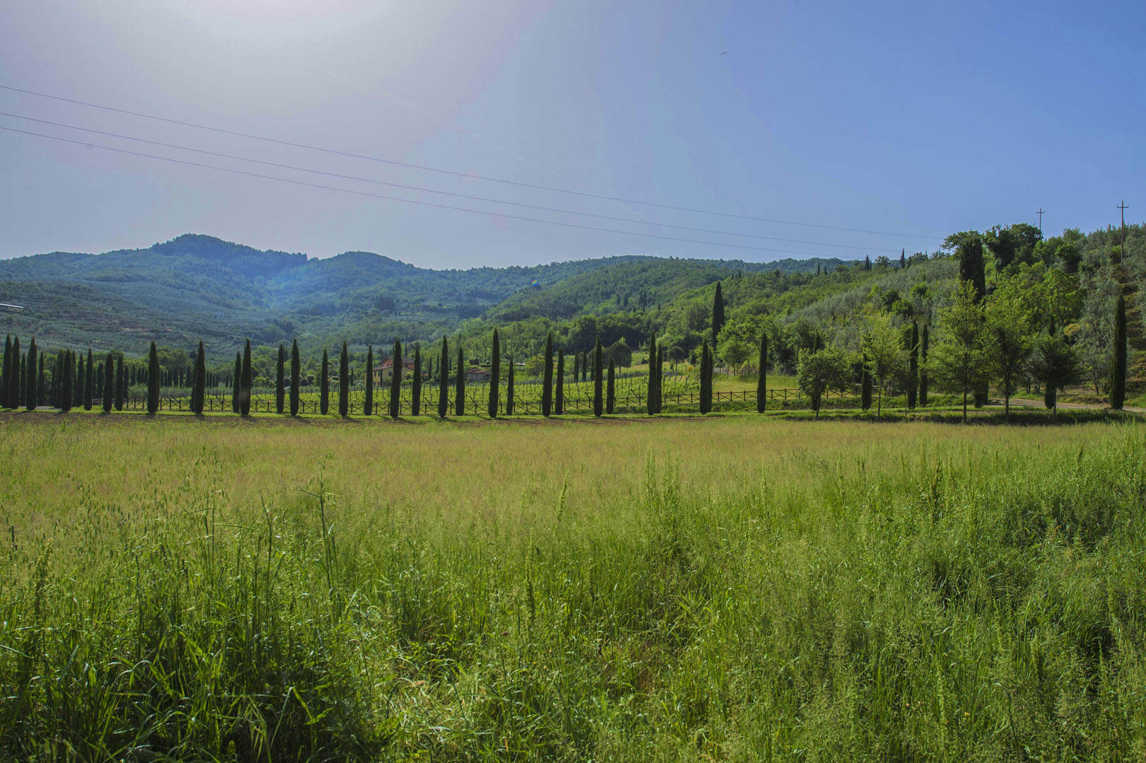 VAL DI CHIO - HOCHWERTIGE IMMOBILIEN ZU VERKAUFEN, VILLEN UND LANDHÄUSER IM VAL DI CHIO