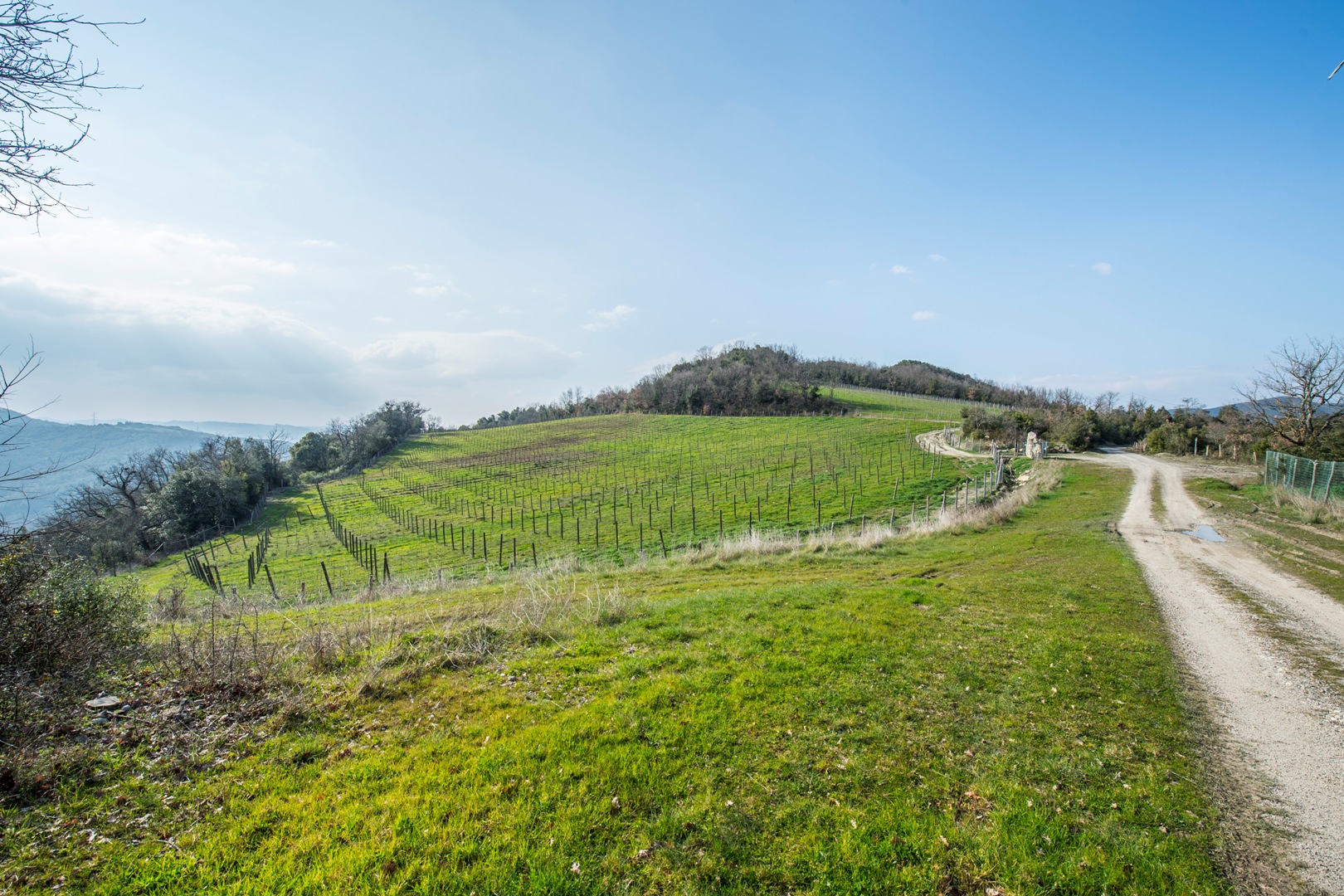 VAL D'ELSA - LANDHAUS UND WEINBERGE ZU VERKAUFEN
