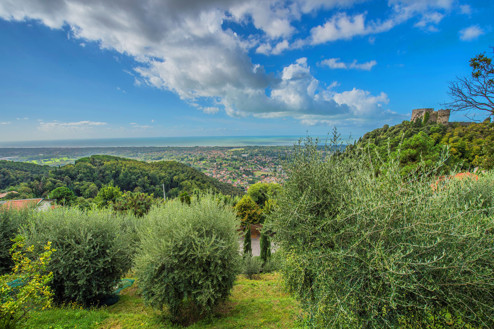 VERSILIA: LUXURIÖSE IMMOBILIEN, VILLEN, WOHNUNGEN UND LANDHÄUSER ZU VERKAUFEN