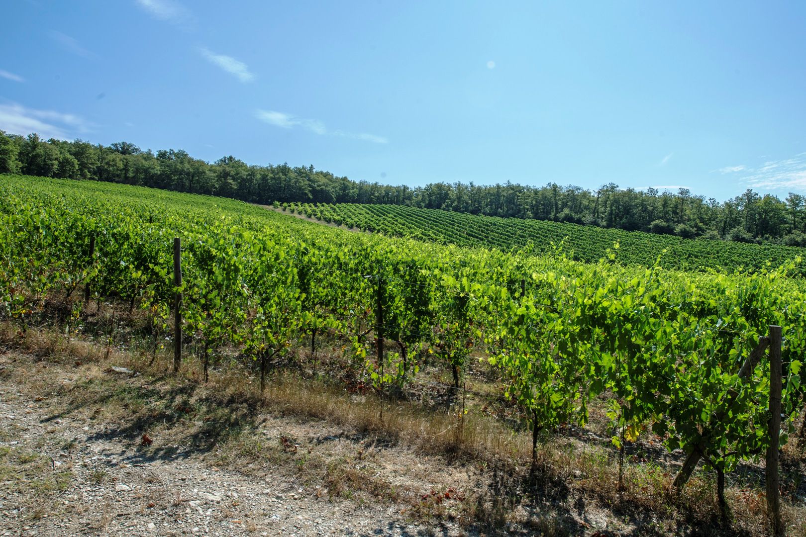 CHIANTI-HÜGEL IN DER TOSKANA, LUXURIÖSE IMMOBILIEN ZU VERKAUFEN