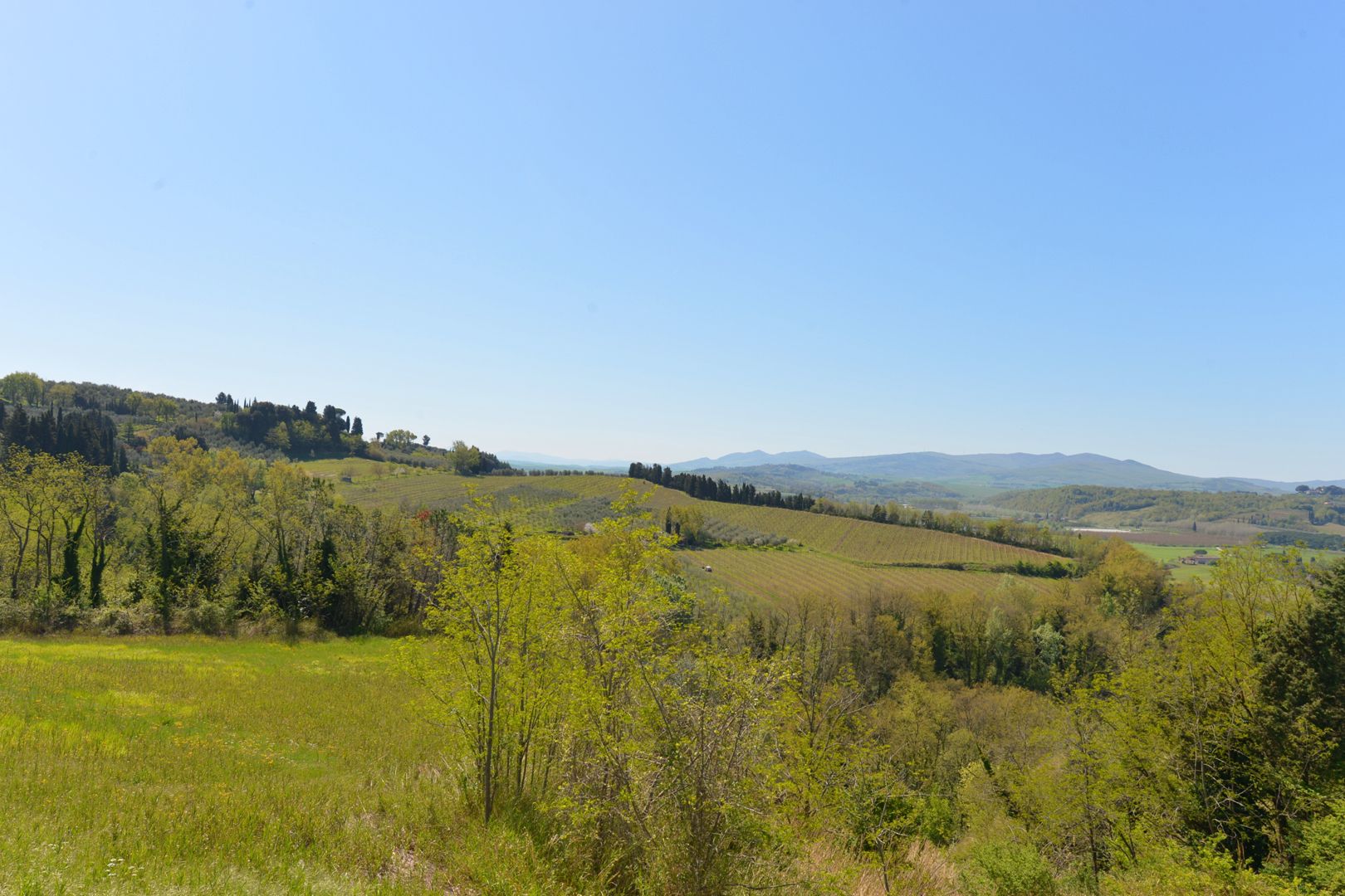 COLLINE METALLIFERE - LUXUSIMMOBILIEN ZU VERKAUFEN IN DEN PROVINZEN LIVORNO, GROSSETO, SIENA UND PISA 