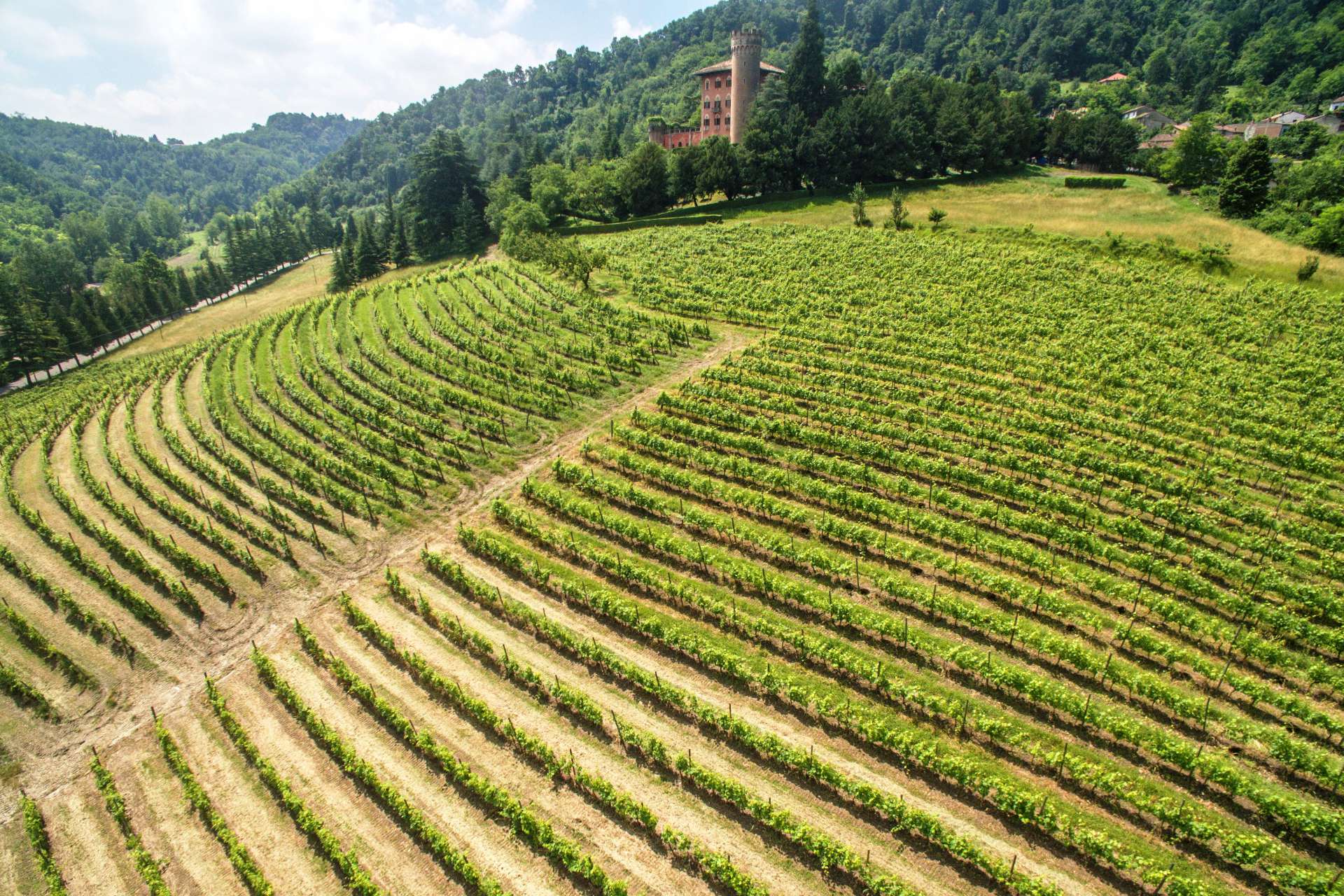 WEINGÜTER ZU VERKAUFEN IM MONFERRATO, BURGEN ZU VERKAUFEN IN PIEMONT, LANDGUT UND LANDHÄUSER ZUM VERKAUF IM MONFERRATO