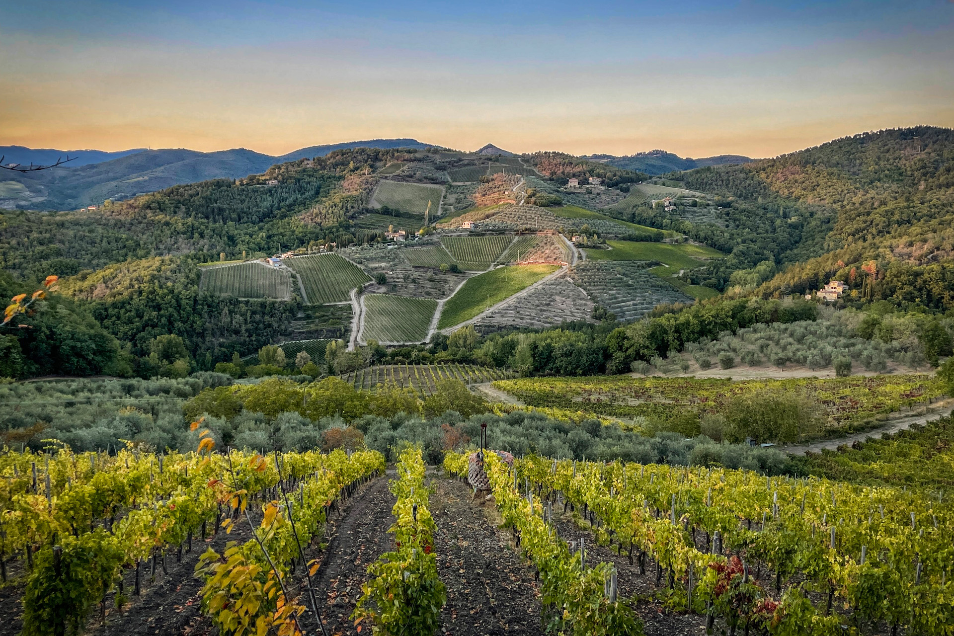 DIE WEINBAUREGIONEN ITALIENS - TOSKANA UND UMBRIEN
