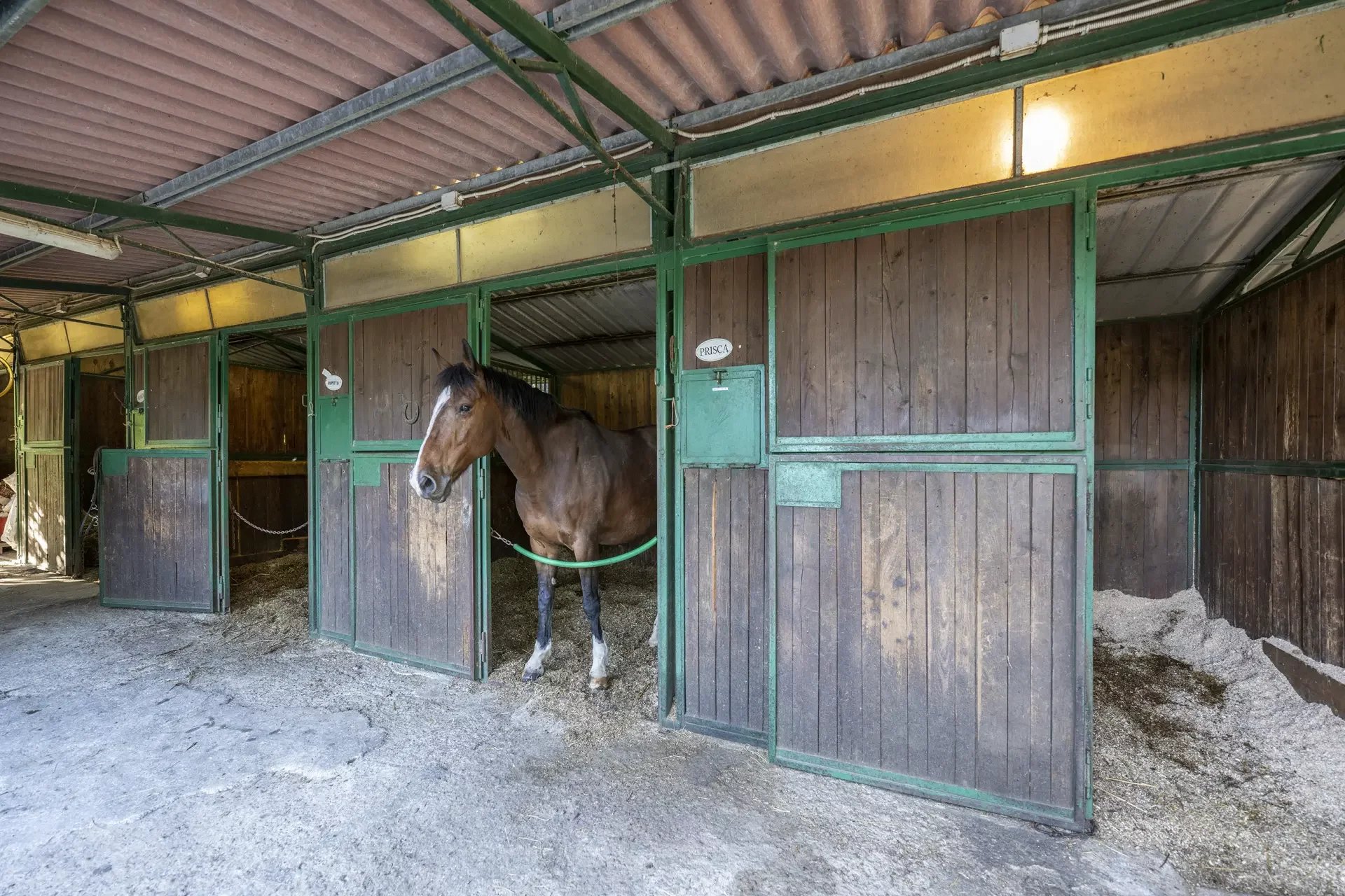 <p>Chianti Equestrian Estate: <strong>Leben und Investieren in einem Landgut mit Reitsportzentrum&nbsp;</strong></p>