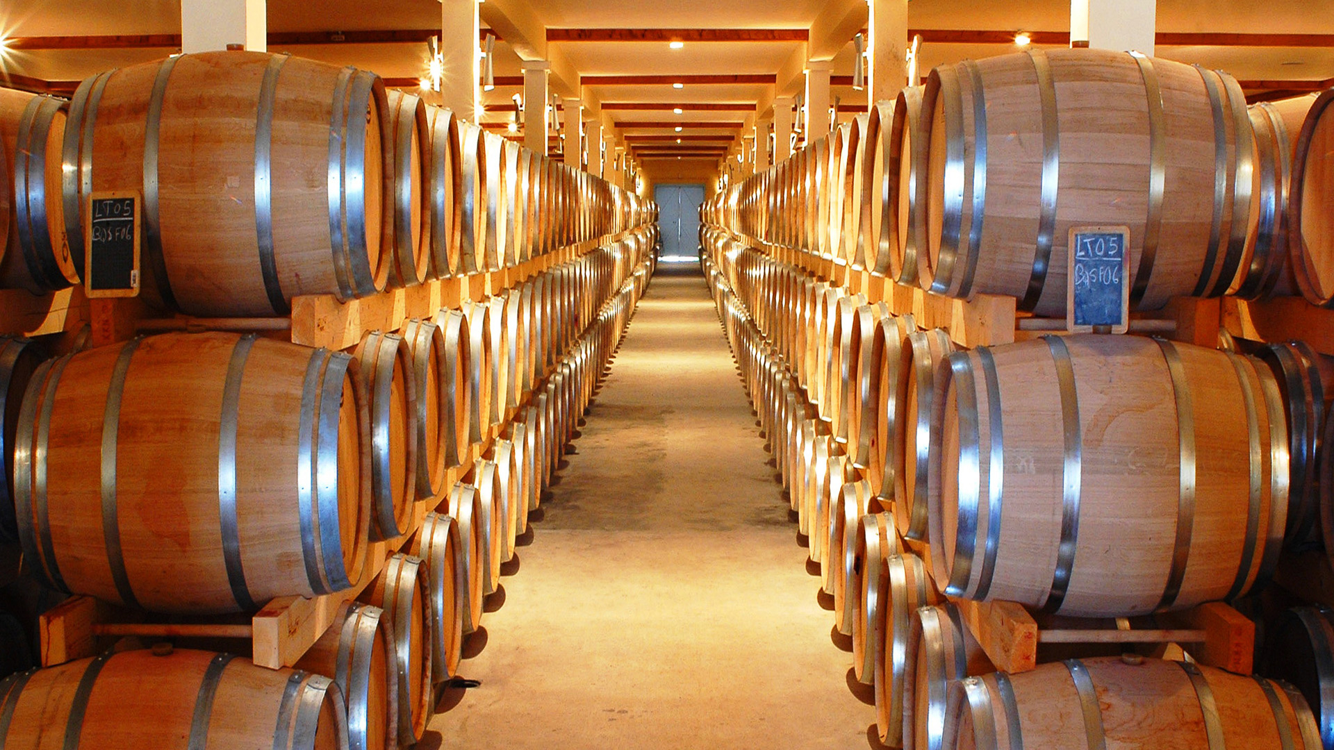 Bolgheri: Wein, Meer und Villen zwischen den etruskischen Hügeln