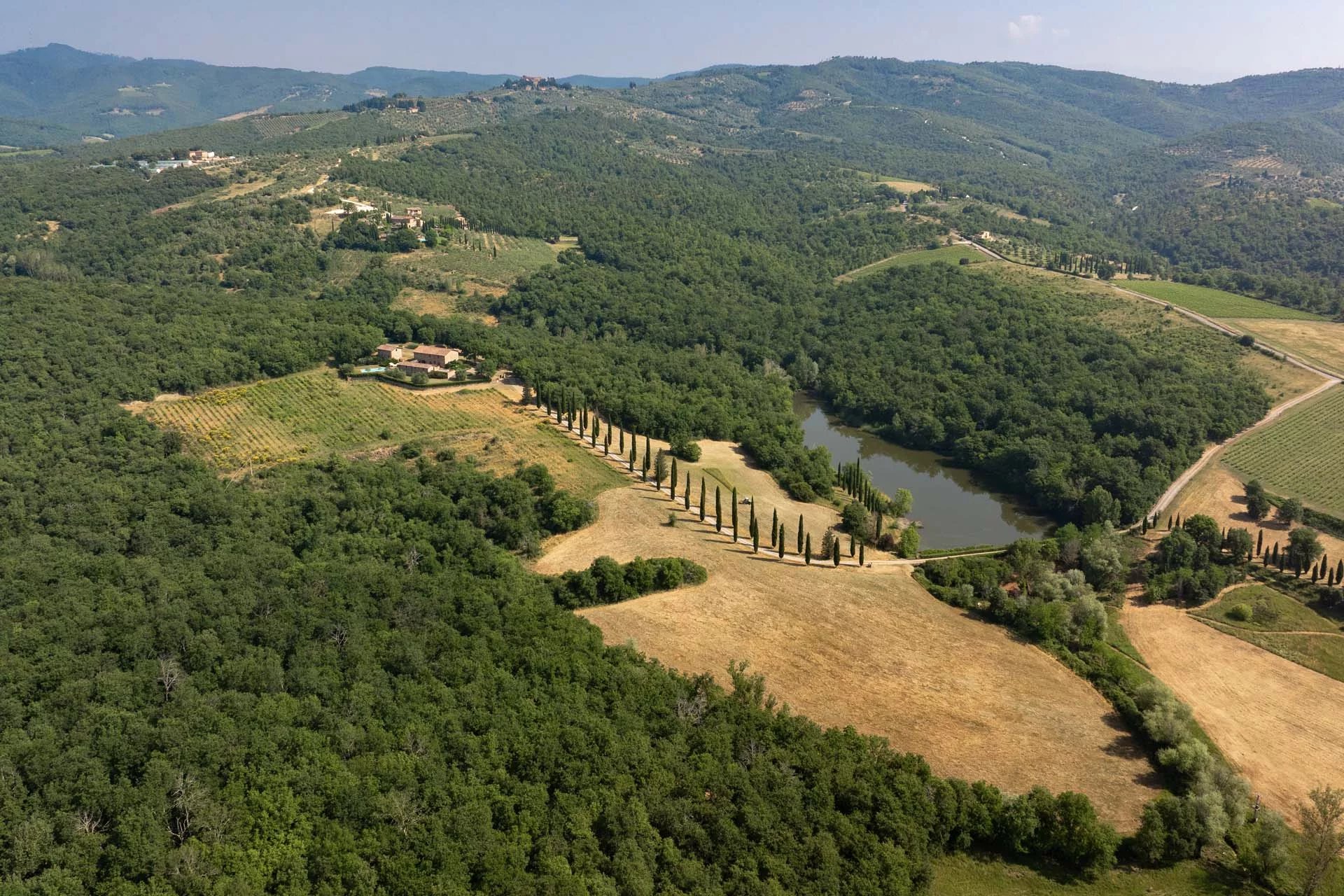Weinberg und See: ein vollständiges Ökosystem