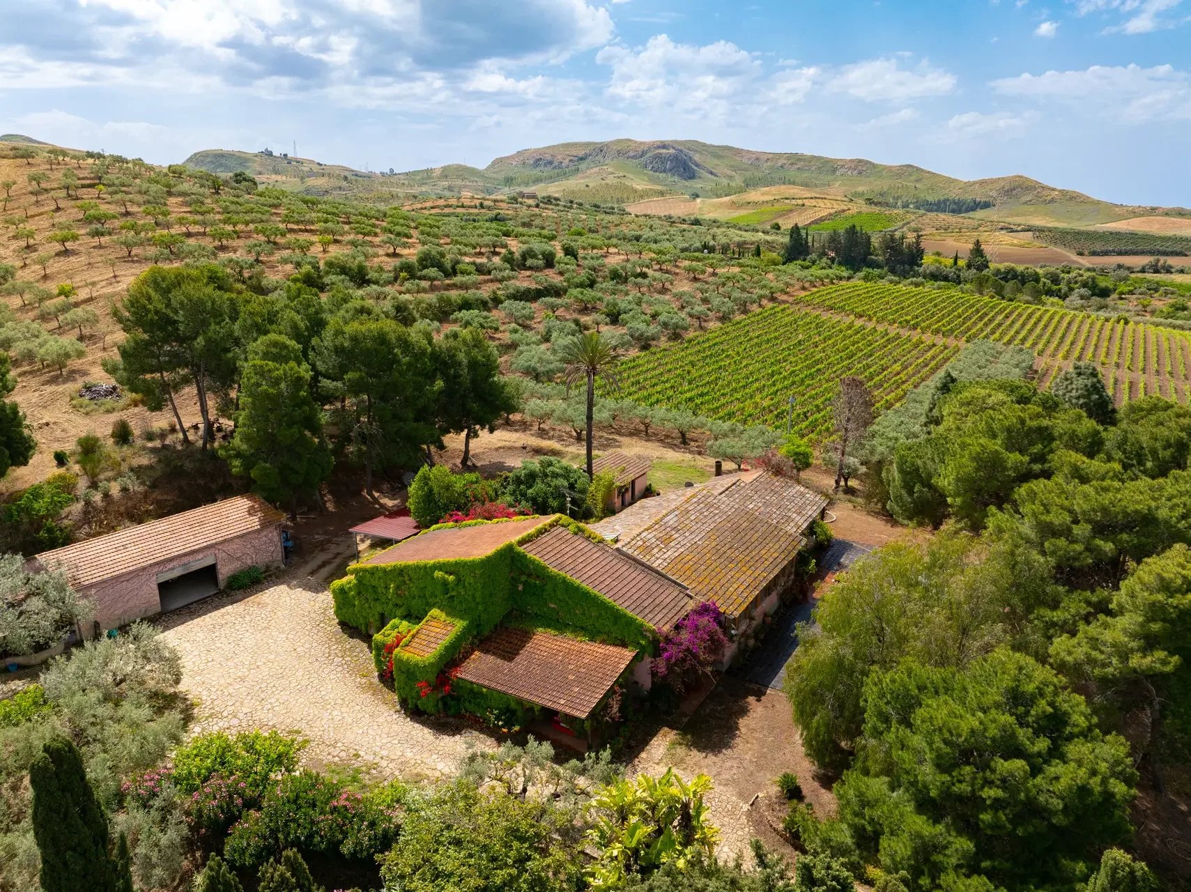Ein landwirtschaftliches Anwesen zwischen Weinbergen, Olivenhainen und mediterraner Landschaft
