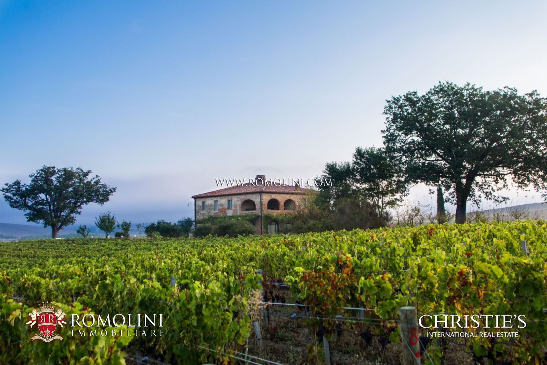 MONTALCINO: WEINGUT BRUNELLO DI MONTALCINO ZU VERKAUFEN, LANDHAUS KAUFEN