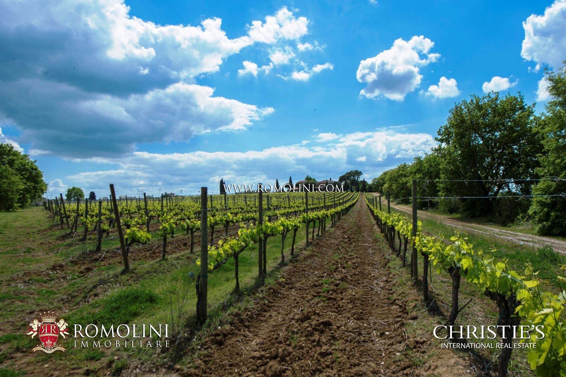 LANDHÄUSER, BAUERNHÄUSER, WEINGÜTER, LANDGÜTER, MITTELALTERLICHE TÜRME UND VILLEN IN MONTEPULCIANO