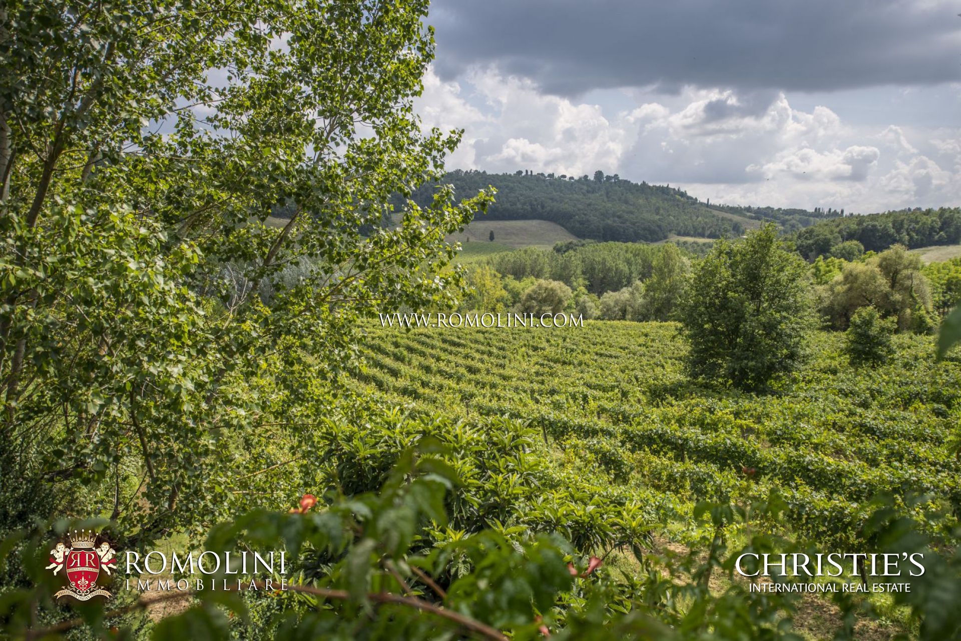 WEINGUT IN SAN GIMIGNANO ZU VERKAUFEN - LANDHÄUSER, VILLEN UND AGRITURISMI IN DER TOSKANA