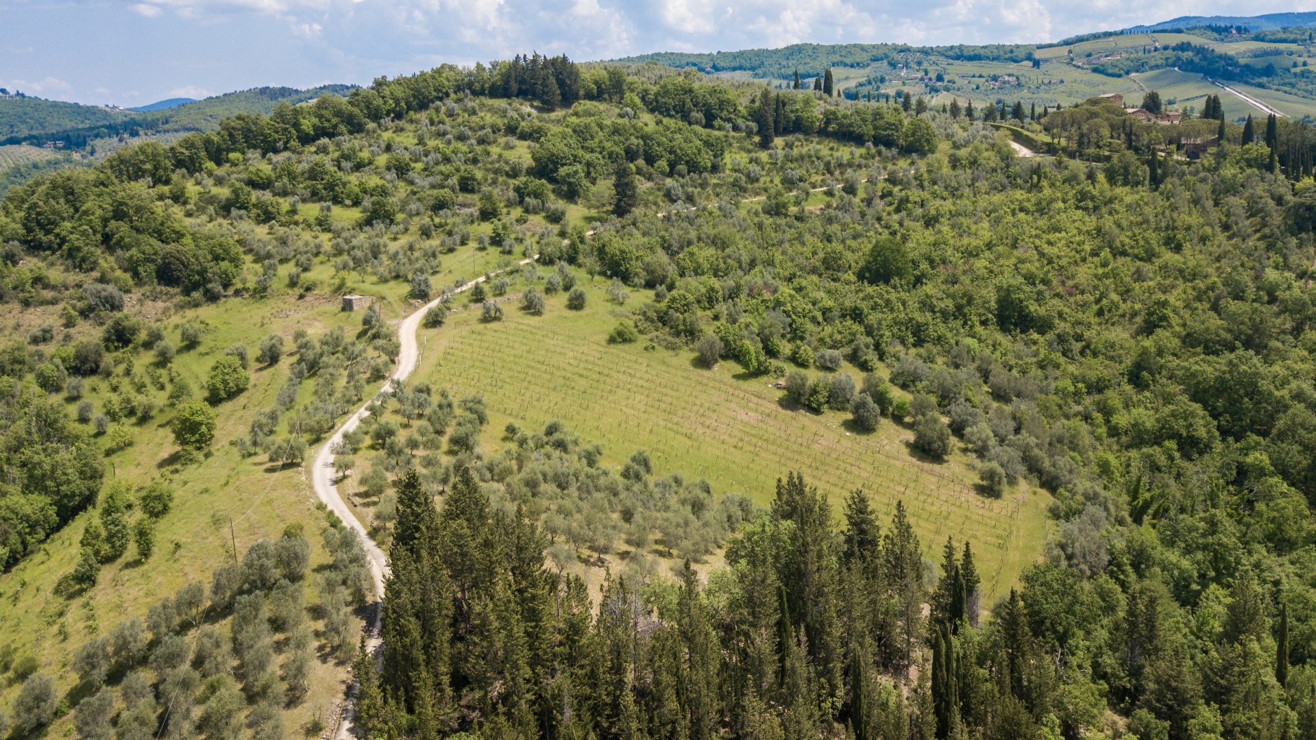 WEINBERGE & WEINKELLEREIEN ZU VERKAUFEN IN CASTELNUOVO BERARDENGA - LANDHÄUSER, HISTORISCHE VILLEN UND GRUNDSTÜCKE ZU VERKAUFEN IN CHIANTI CLASSICO