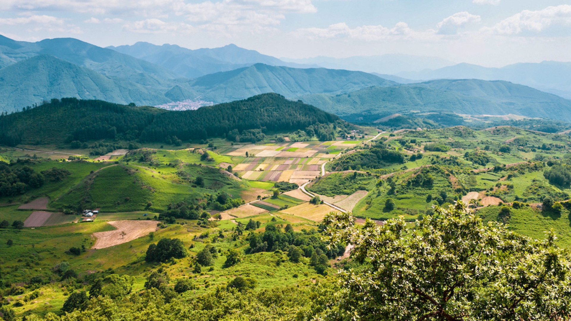 AVELLINO, CAMPANIA - AGLIANICO WEINBERGE & WEINKELLEREIEN ZU VERKAUFEN IN SÜDITALIEN
