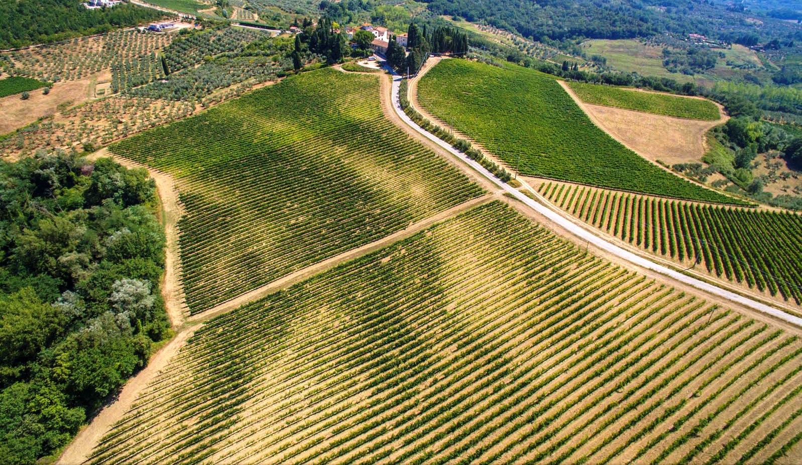 WEINBERGE & WEINKELLER ZU VERKAUFEN IN MONTESPERTOLI, LANDHÄUSER, VILLEN UND AGRITURISMOS ZU VERKAUFEN CHIANTI