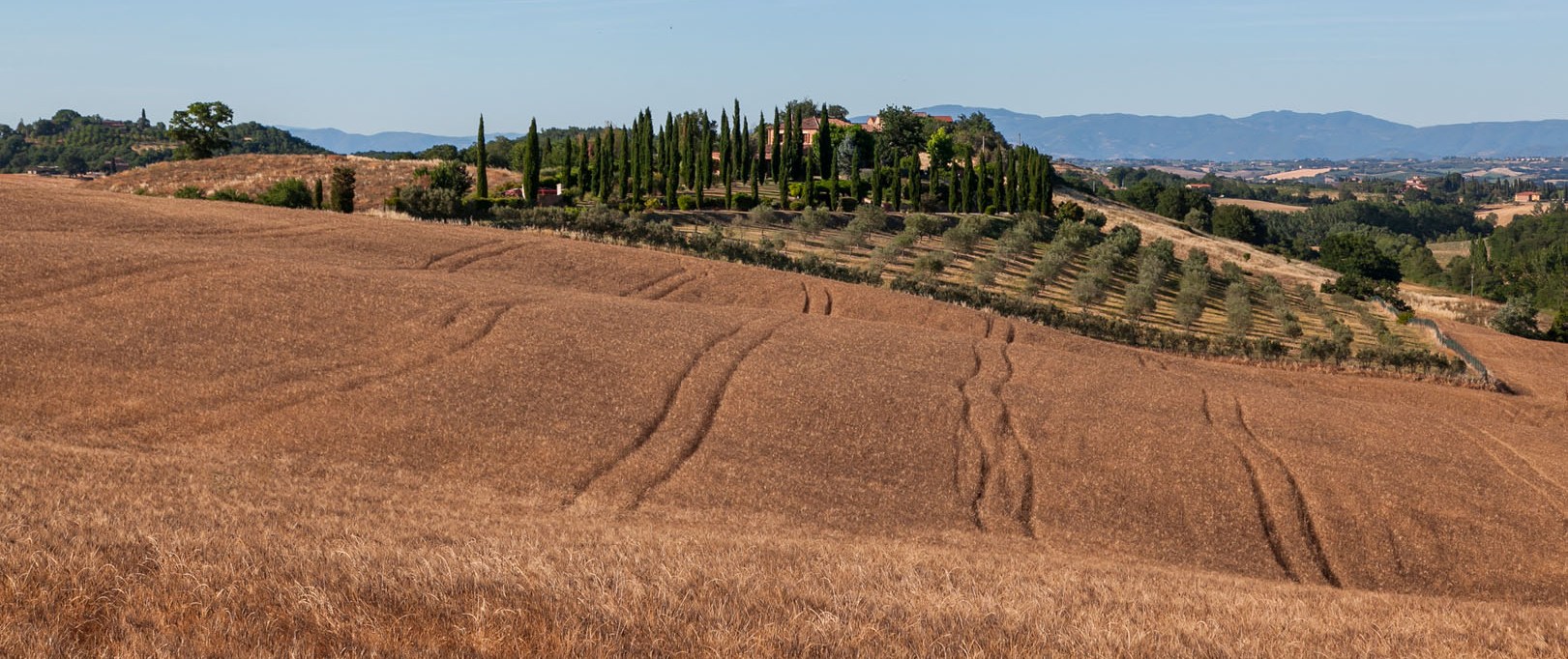 CHIUSI: LANDHÄUSER, LUXUSVILLEN, AGRITURISMI UND LANDGÜTER IN SATURNIA ZU VERKAUFEN, SIENA, TOSKANA