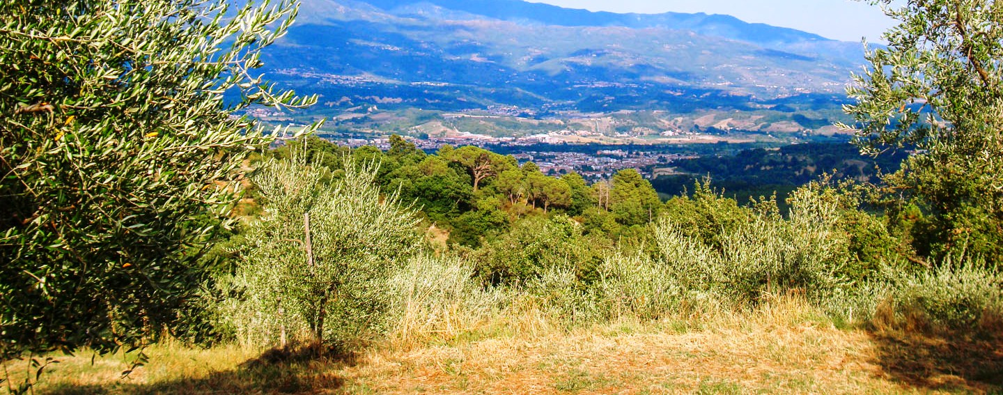 MONTEVARCHI: LANDHÄUSER, LUXUSVILLEN, AGRITURISMI UND WOHNUNGEN IN ANGHIARI ZU VERKAUFEN, AREZZO, TOSKANA