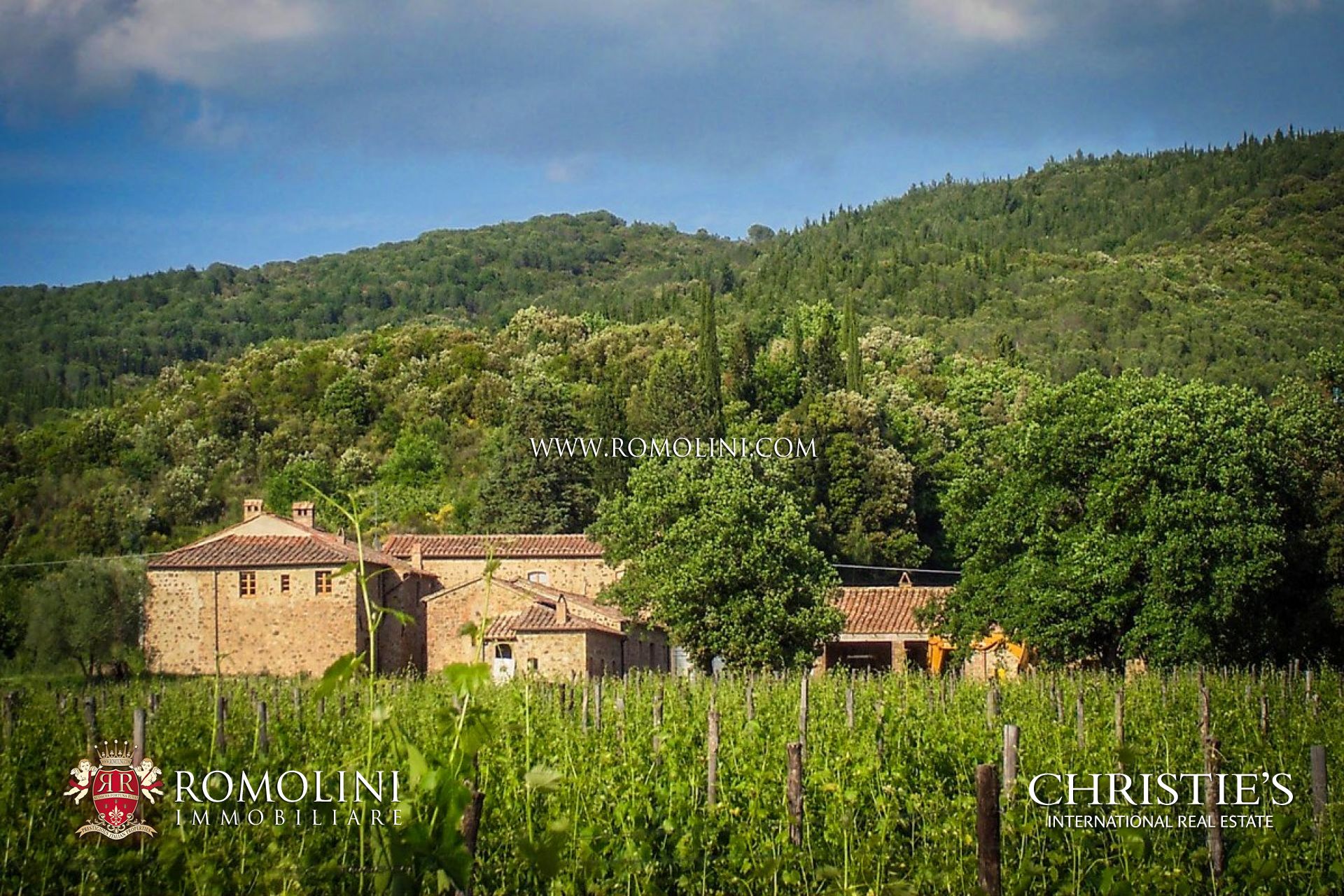 WEINGUT ZUM VERKAUF IN MONTALCINO, WEINBERGE KAUFEN IM VAL Dï¿½ORCIA, TOSKANA, ITALIEN