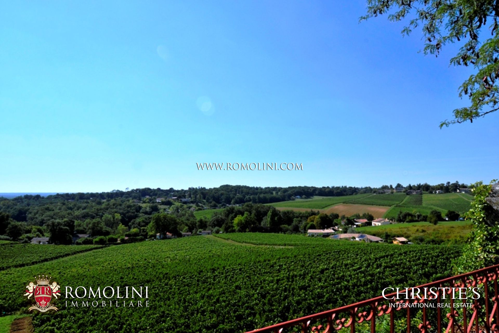 WEINGUT KAUFEN IN BORDEAUX, WEINBERGE ZUM VERKAUF IN SAINT-ï¿½MILION, FRANKREICH