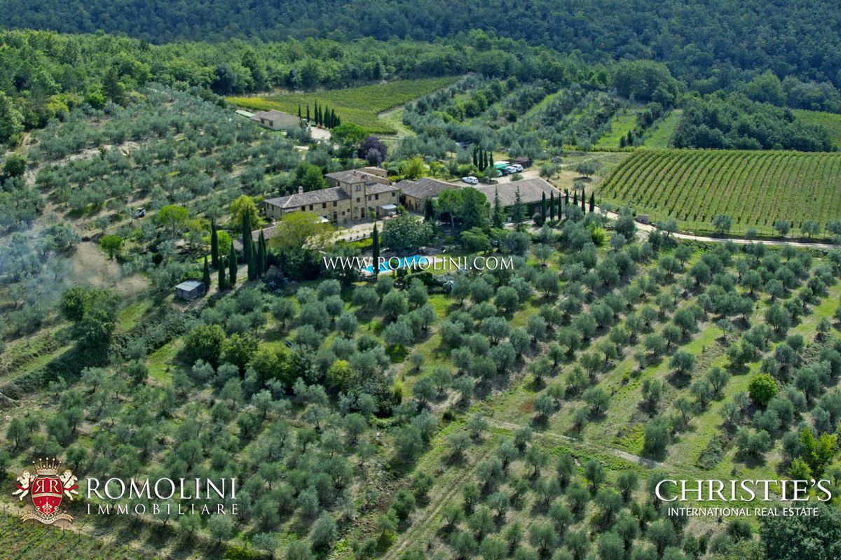 WEINGÜTER UND WEINBERGE ZU VERKAUFEN IM CHIANTI CLASSICO, TOSKANA