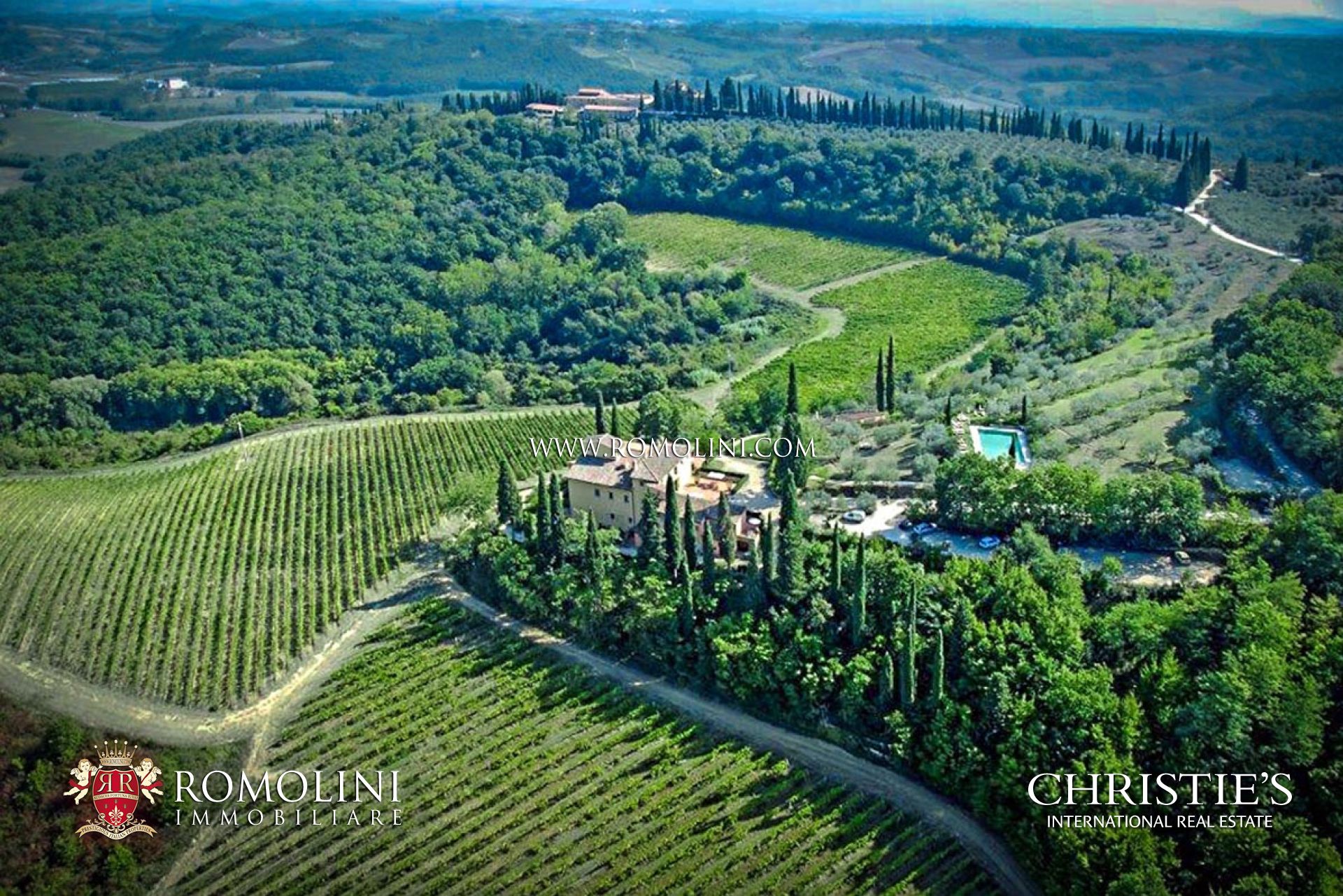 WEINBERGE, WEINGÜTER, WEINKELLER IN DER TOSKANA, CHIANTI-HÜGELN, AREZZO, SIENA, FLORENZ, WEINBERGE CHIANTI CLASSICO GALLO NERO, BRUNELLO DI MONTALCINO, NOBILE DI MONTEPULCIANO