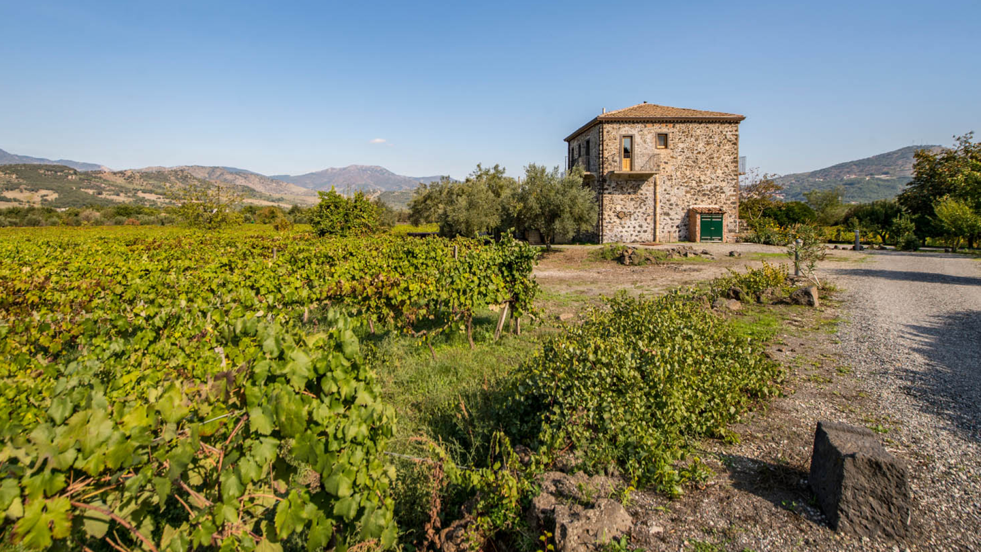WEINGÜTER, WEINKELLEREIEN UND WEINBERGE ZU VERKAUFEN IN SIZILIEN – CERASUOLO DI VITTORIA DOCG, VITTORIA DOC, SIRACUSA DOC, MOSCATO DI PANTELLERIA DOC