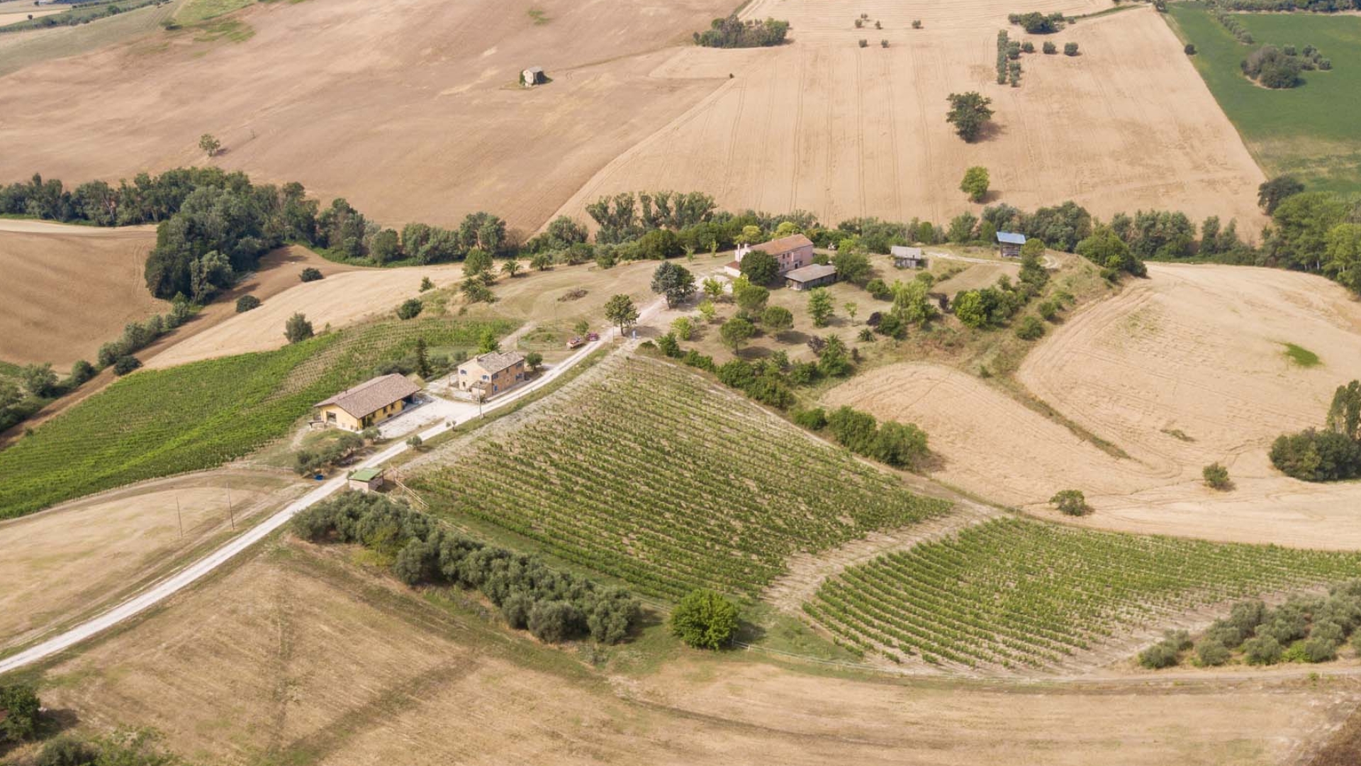 WEINGUT UND LANDWIRTSCHAFTLICHER BETRIEB ZU VERKAUFEN IN DEN MARKEN