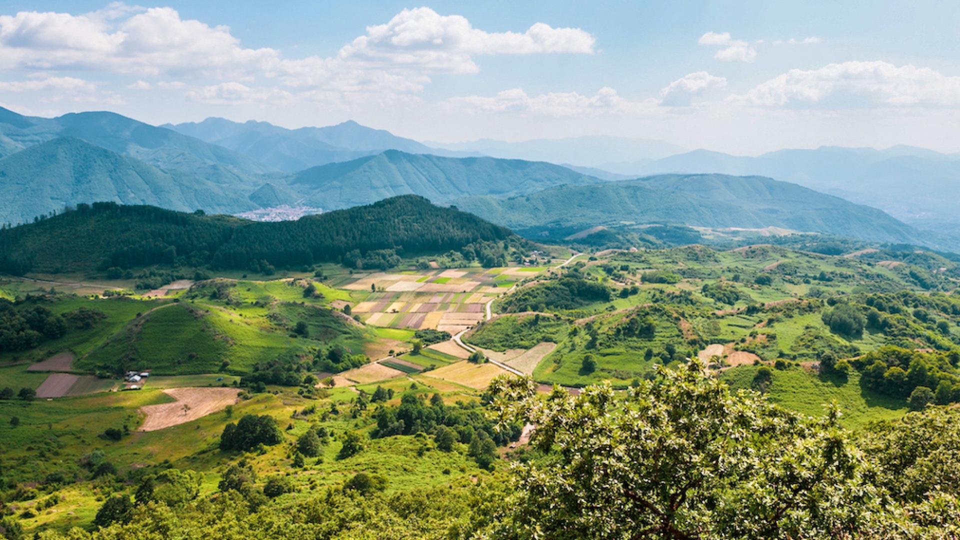 WEINGÜTER, LUXUSWOHNUNGEN UND HISTORISCHE VILLEN IN AVELLINO, KAMPANIEN ZU VERKAUFEN