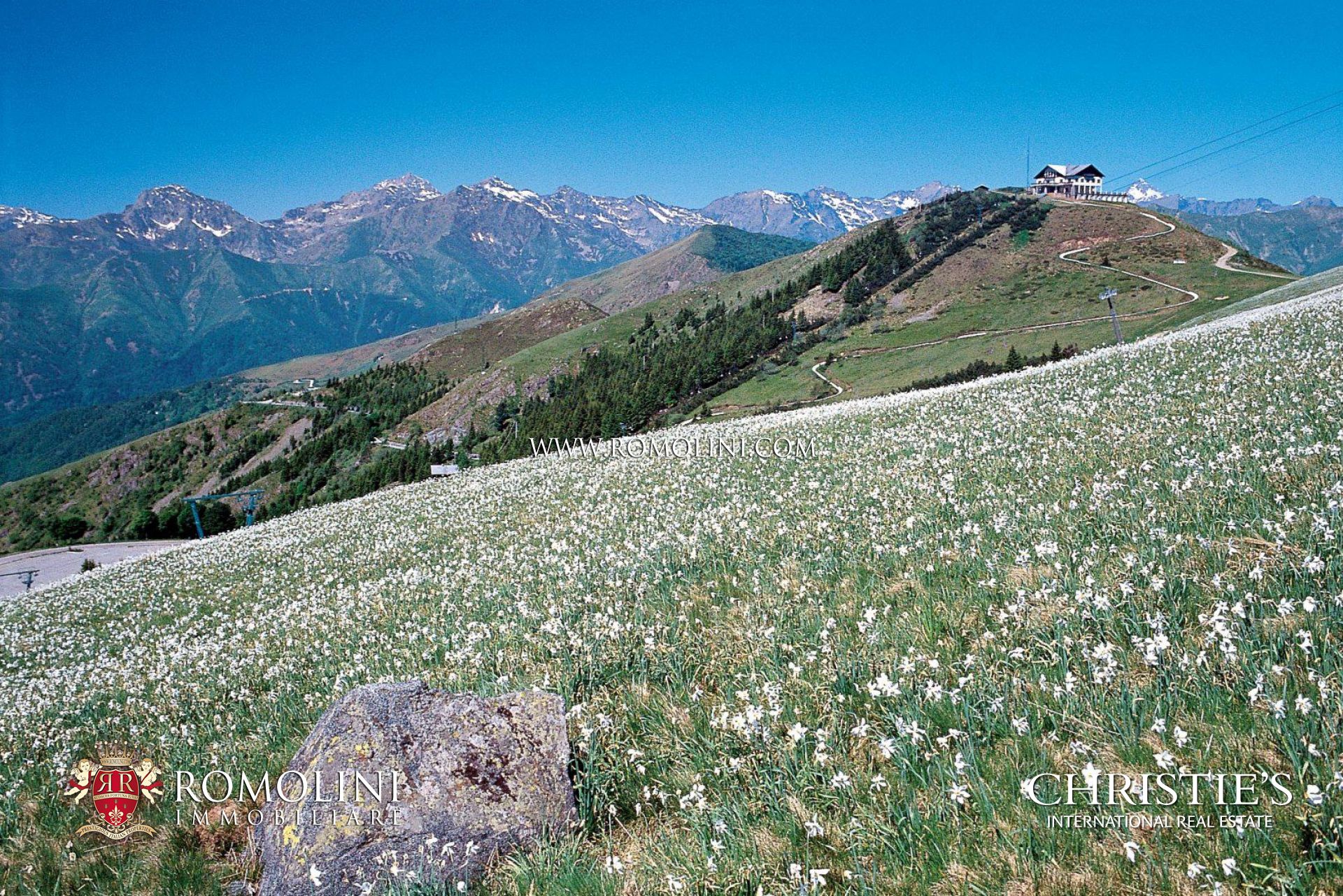 PIEMONT - IMMOBILIEN ZU VERKAUFEN - HÄUSER, VILLEN, WEINGTER UND SCHLÖSSER