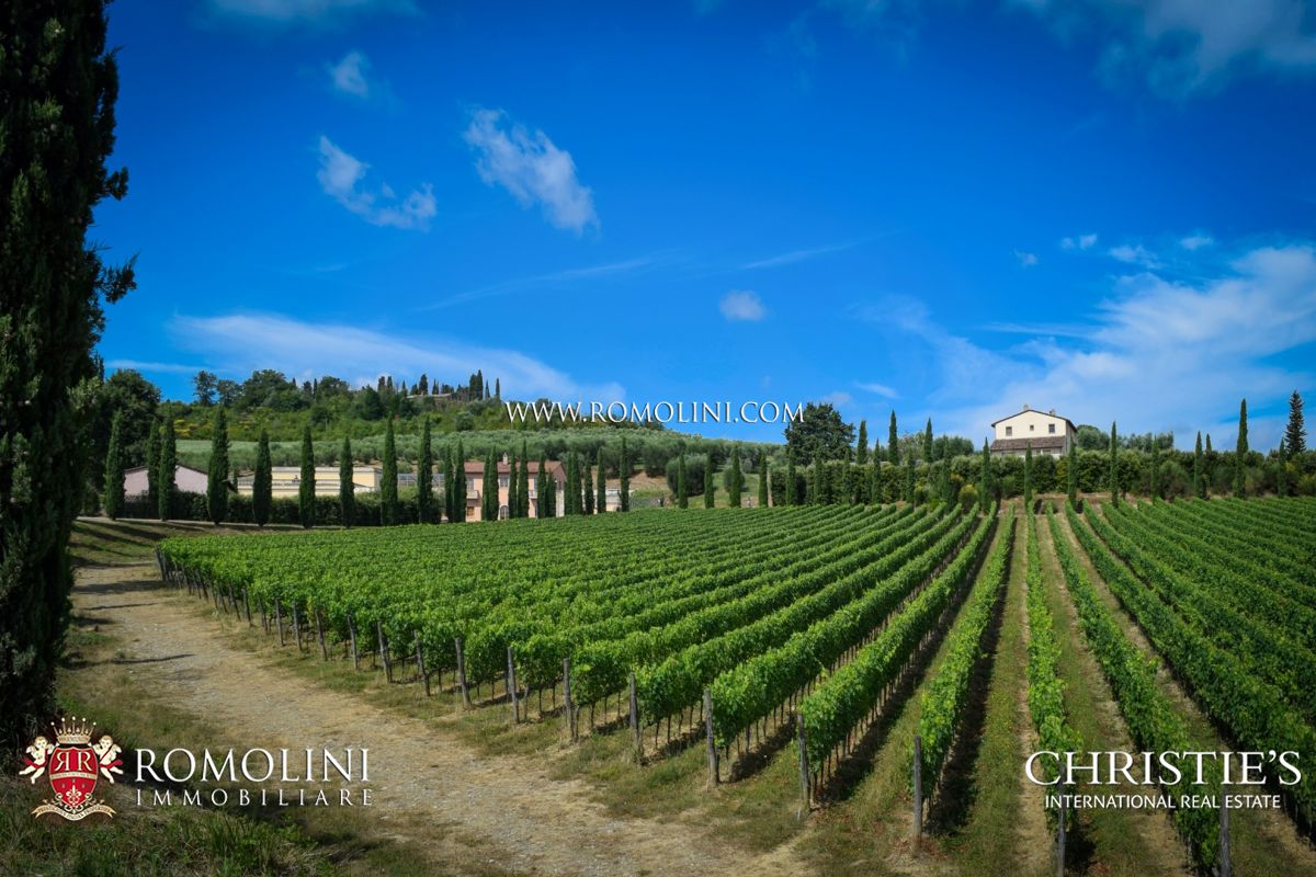 WEINBERGE, WEINGÜTER, WEINKELLER. TOSKANA, PIEMONT, CHIANTI CLASSICO, BRUNELLO DI MONTALCINO, BARBERA, AREZZO, SIENA, FLORENZ, UMBRIEN 