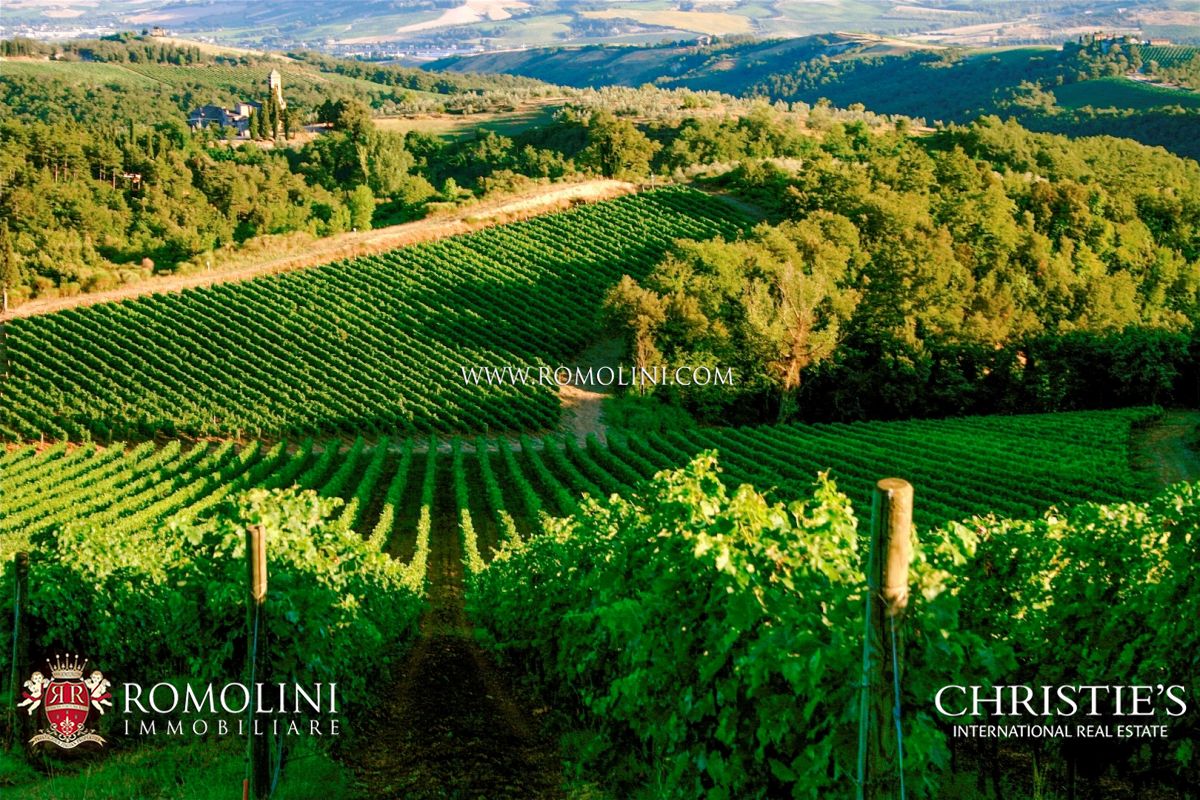 WEINBERGE, WEINGÜTER, WEINKELLER. TOSKANA, PIEMONT, CHIANTI CLASSICO, BRUNELLO DI MONTALCINO, BARBERA, AREZZO, SIENA, FLORENZ, UMBRIEN 