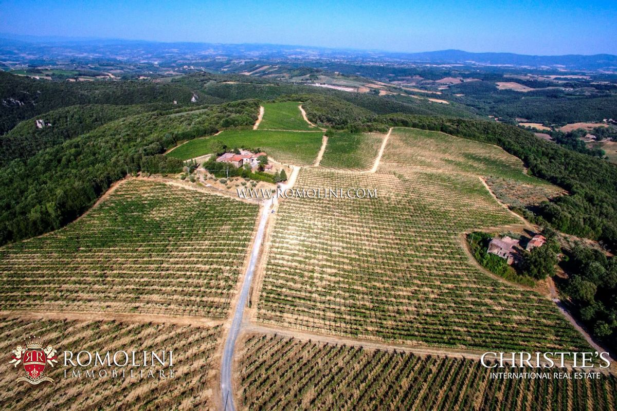 WEINBERG IN ITALIEN ZU VERKAUFEN 