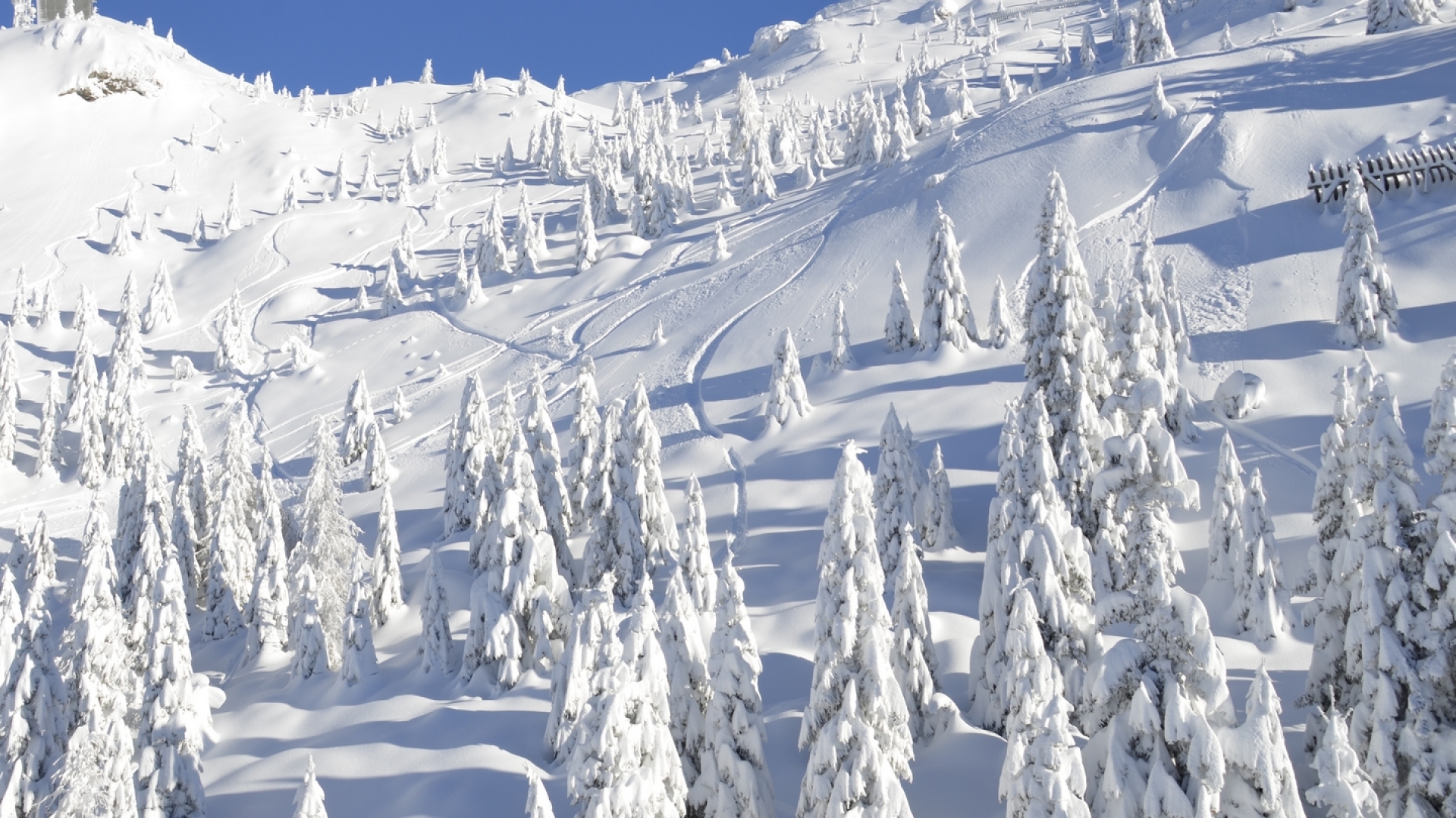 SKI, SKIORTE - CHALET, VILLA, WOHNUNG UND HAUS AUF DEN SKIPISTEN ZU VERKAUFEN