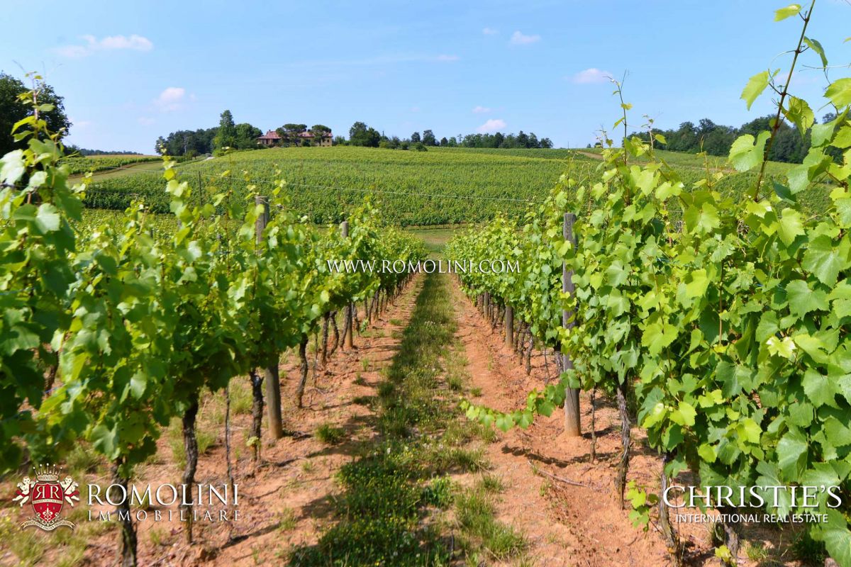 PROPERTIES, VINEYARDS & WINERIES FOR SALE IN MONFERRATO, CASTLES FOR SALE IN PIEDMONT, FARMS AND FARMHOUSES FOR SALE IN MONFERRATO