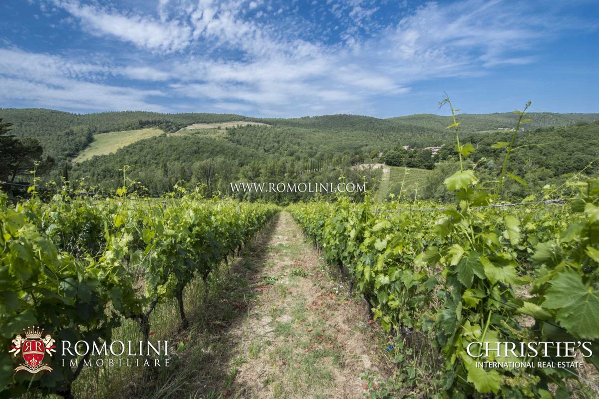 FARMHOUSES AND VILLAS FOR SALE IN CHIANTI CLASSICO, VINEYARDS AND WINERIES FOR SALE CHIANTI CLASSICO TUSCANY