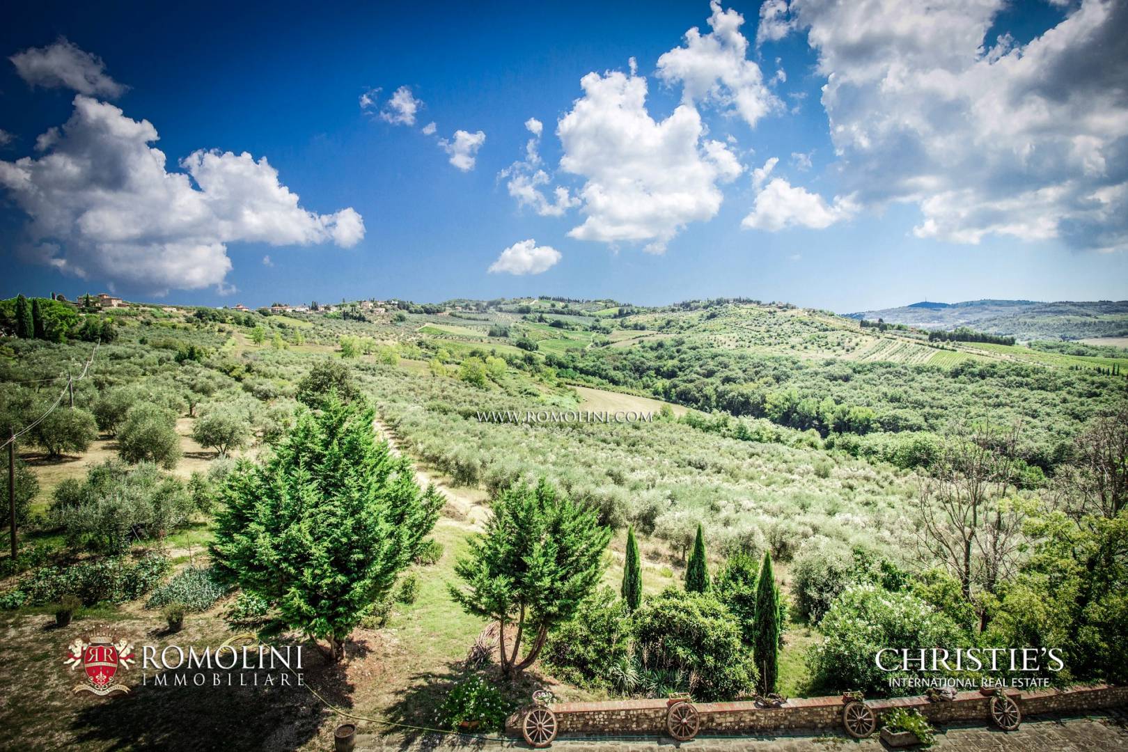 FLORENTINE HILLS - VINEYARDS & WINERIES AND LUXURY PROPERTIES FOR SALE IN FLORENCE, TUSCANY
