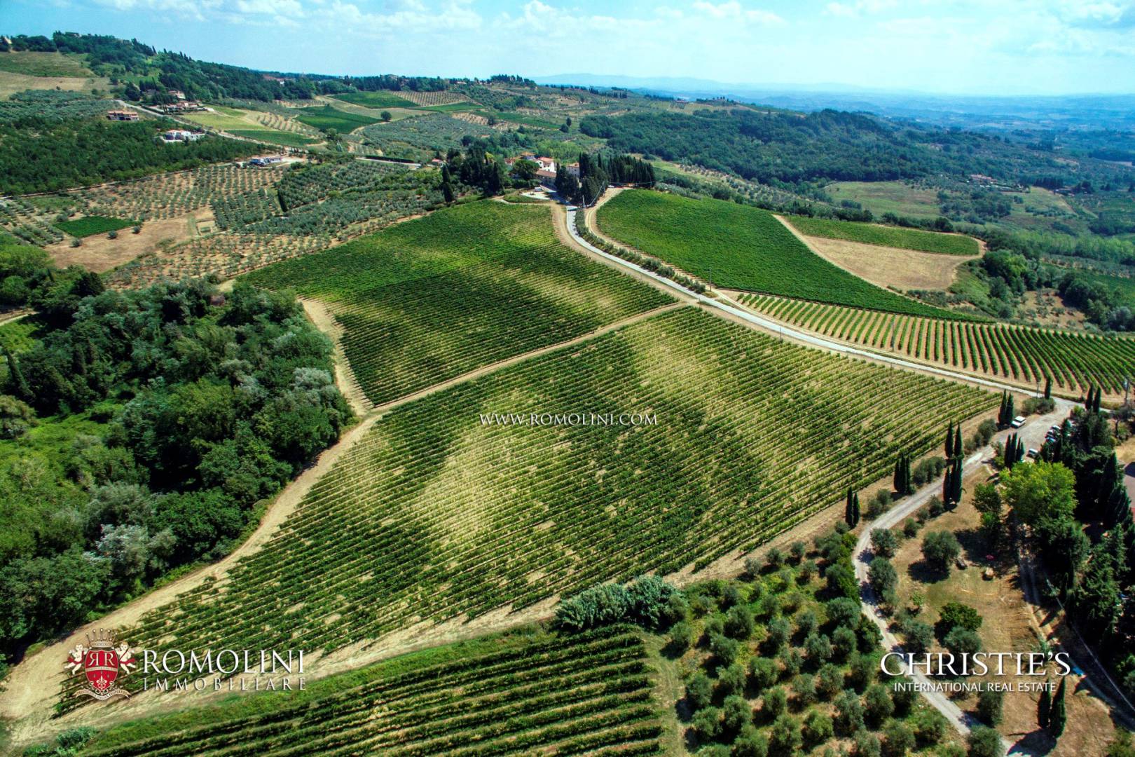 FLORENTINE HILLS - VINEYARDS & WINERIES AND LUXURY PROPERTIES FOR SALE IN FLORENCE, TUSCANY
