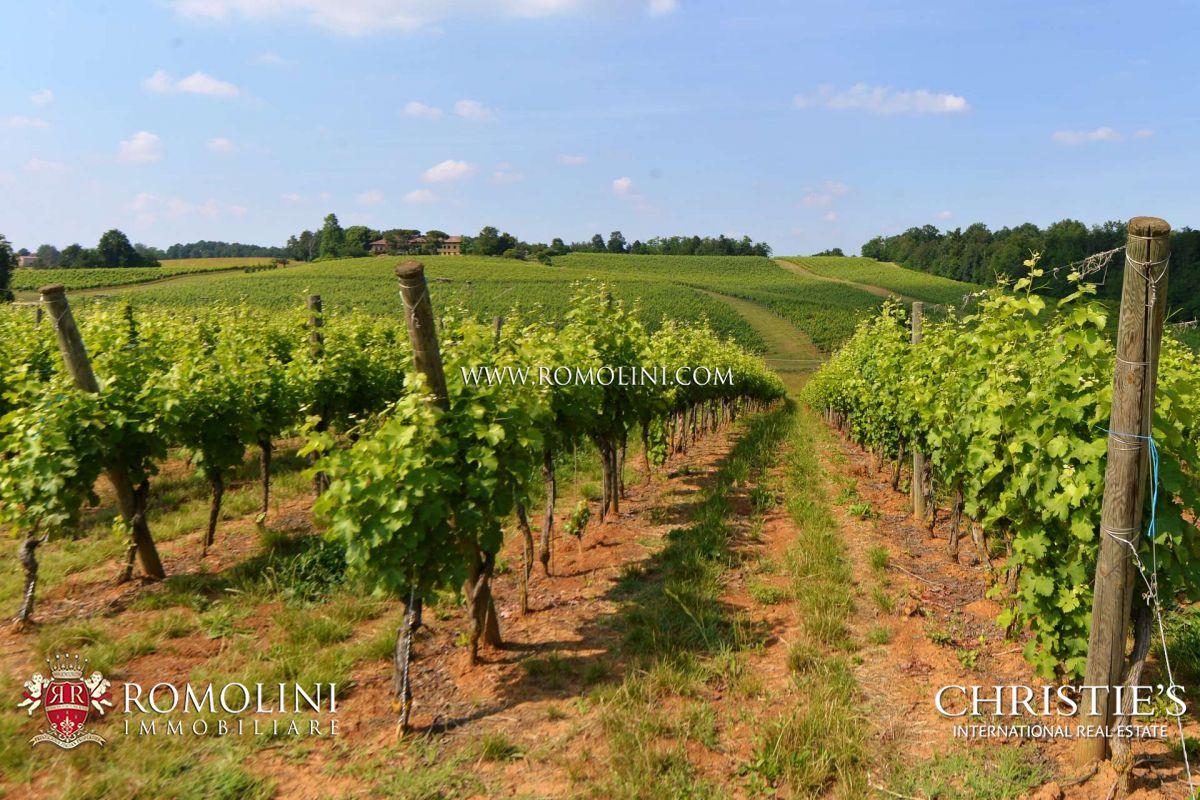 PROPERTIES, VINEYARDS & WINERIES FOR SALE IN MONFERRATO, CASTLES FOR SALE IN PIEDMONT, FARMS AND FARMHOUSES FOR SALE IN MONFERRATO