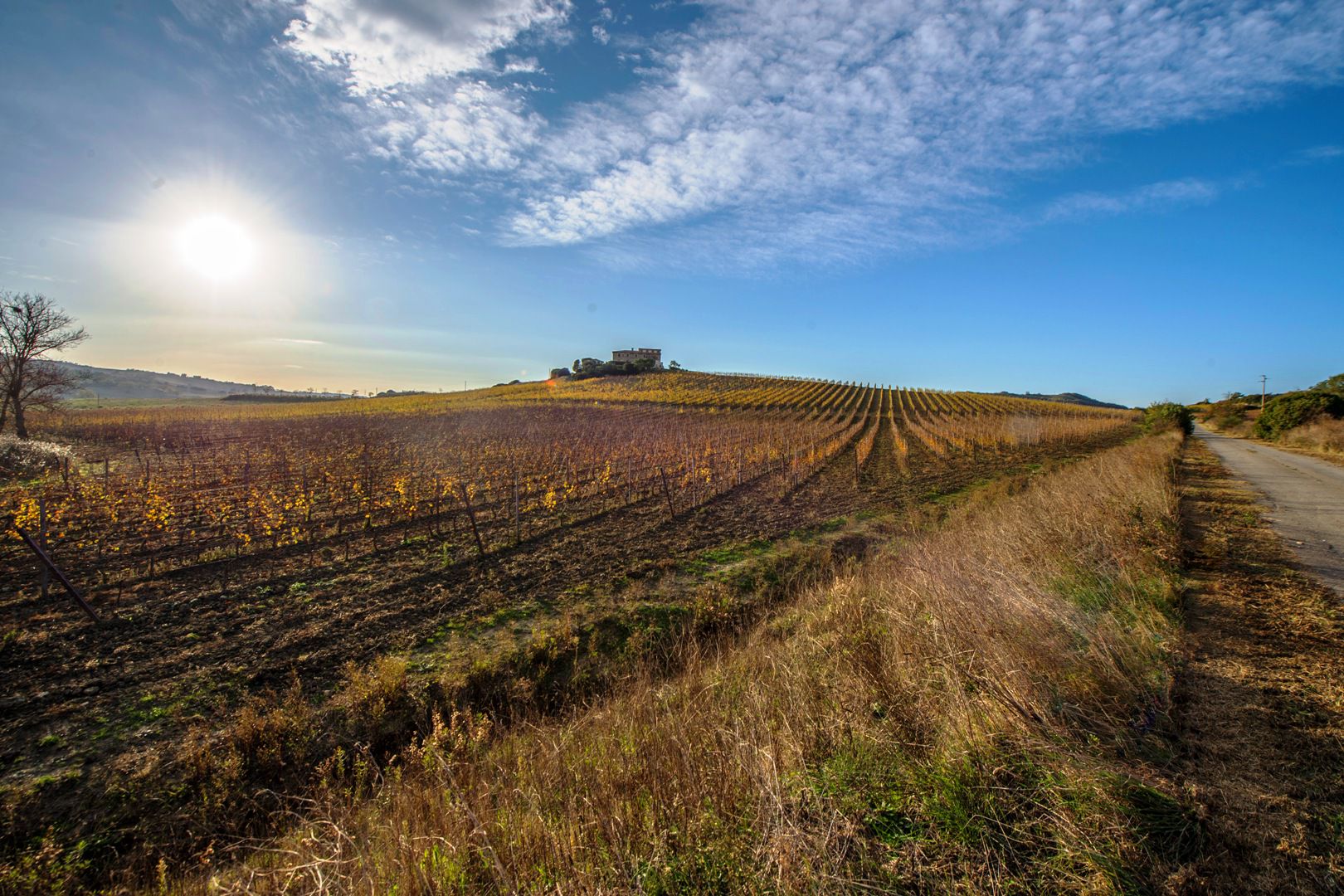 MAREMMA VILLAS,  VINEYARS FOR SALE IN MAREMMA, MORELLINO DI SCANSANO WINE PROPERTY