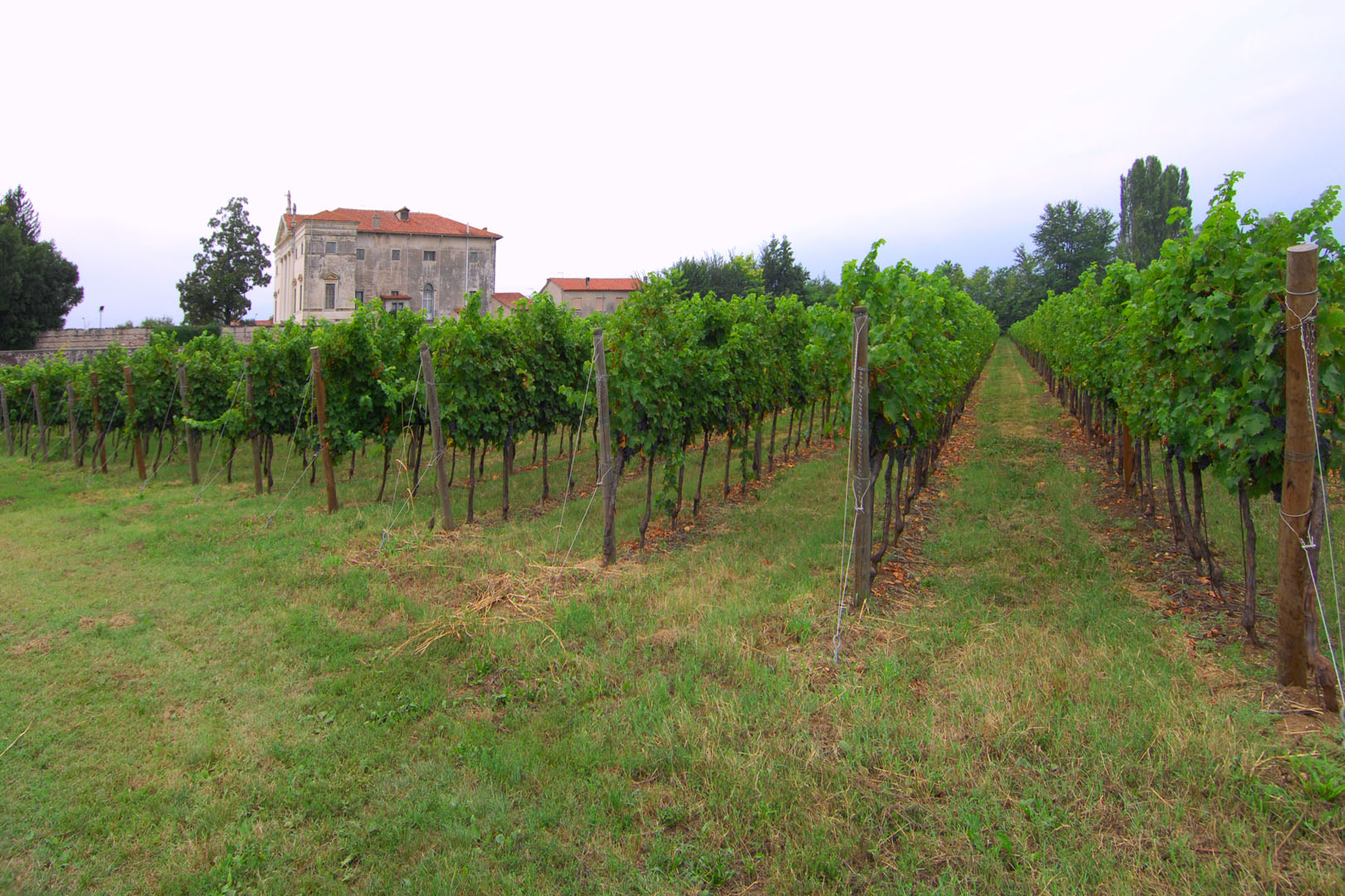 VALPOLICELLA ? Winery, Vineyards and Luxury Villa for sale