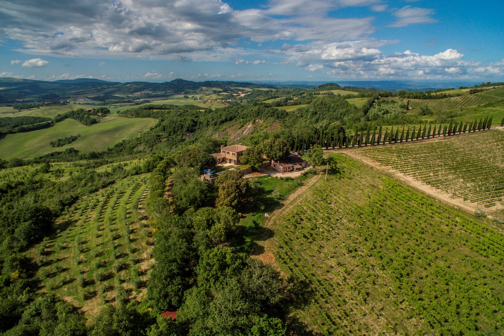 VAL D'ELSA Wine Estates, Farmhouses with vineyards, Luxury Villas for sale in Elsa Valley (Valdelsa), Florence Siena