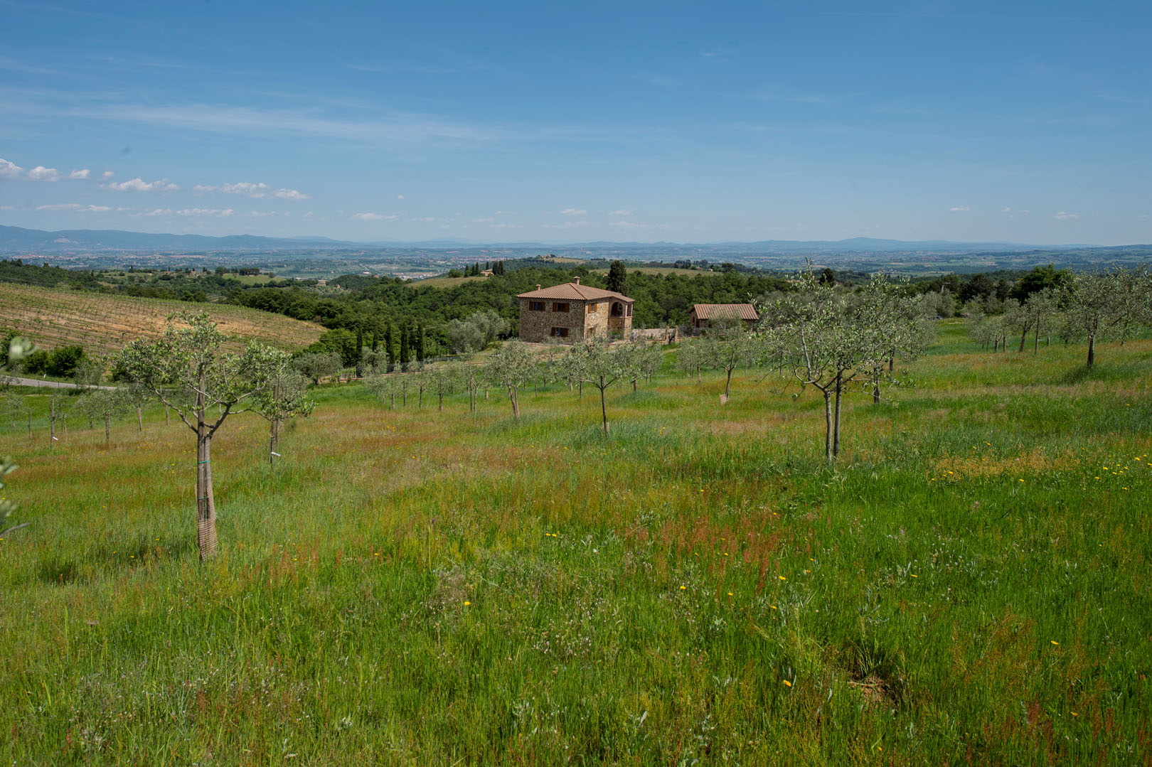 VAL DI CHIANA LUXURY ITALIAN PROPERTY FOR SALE, REAL ESTATE FOR SALE IN VAL DI CHIANA